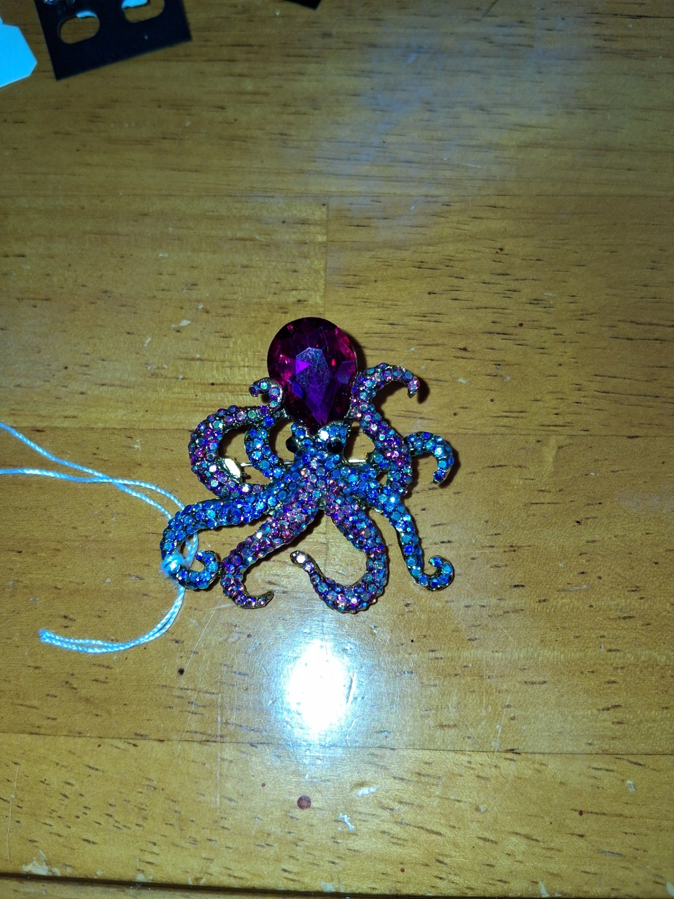 Pin octopus dsc