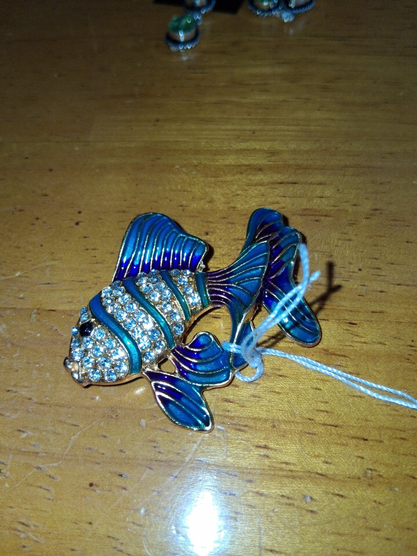 Pin fish dsc 