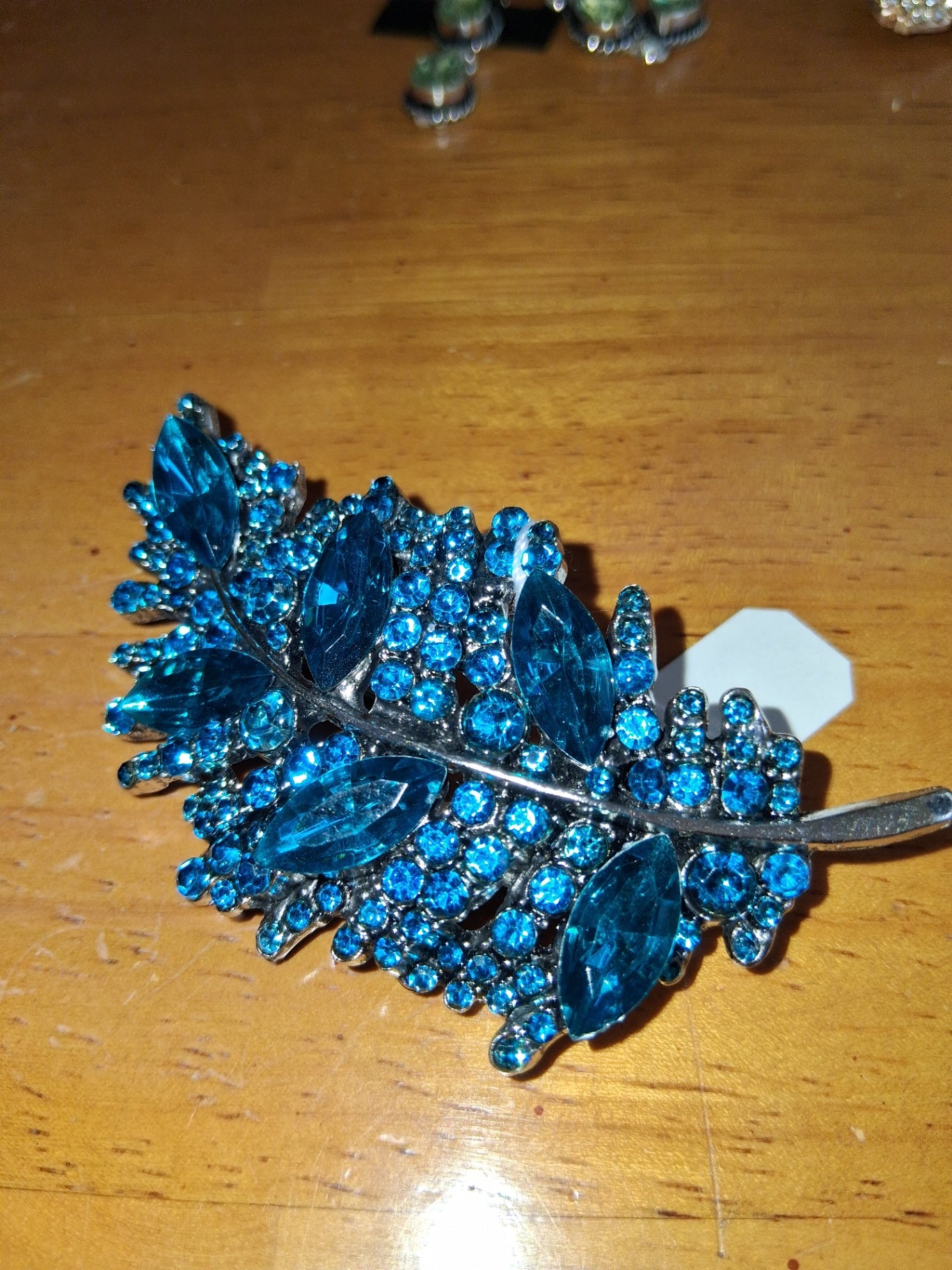 Pin feather dsc