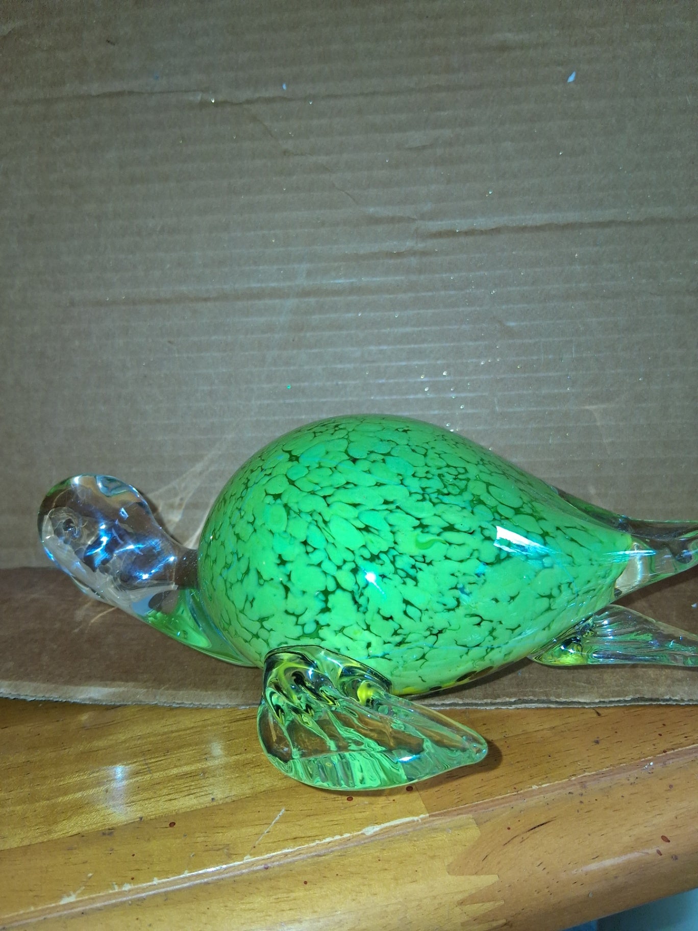 Glass turtle dsc