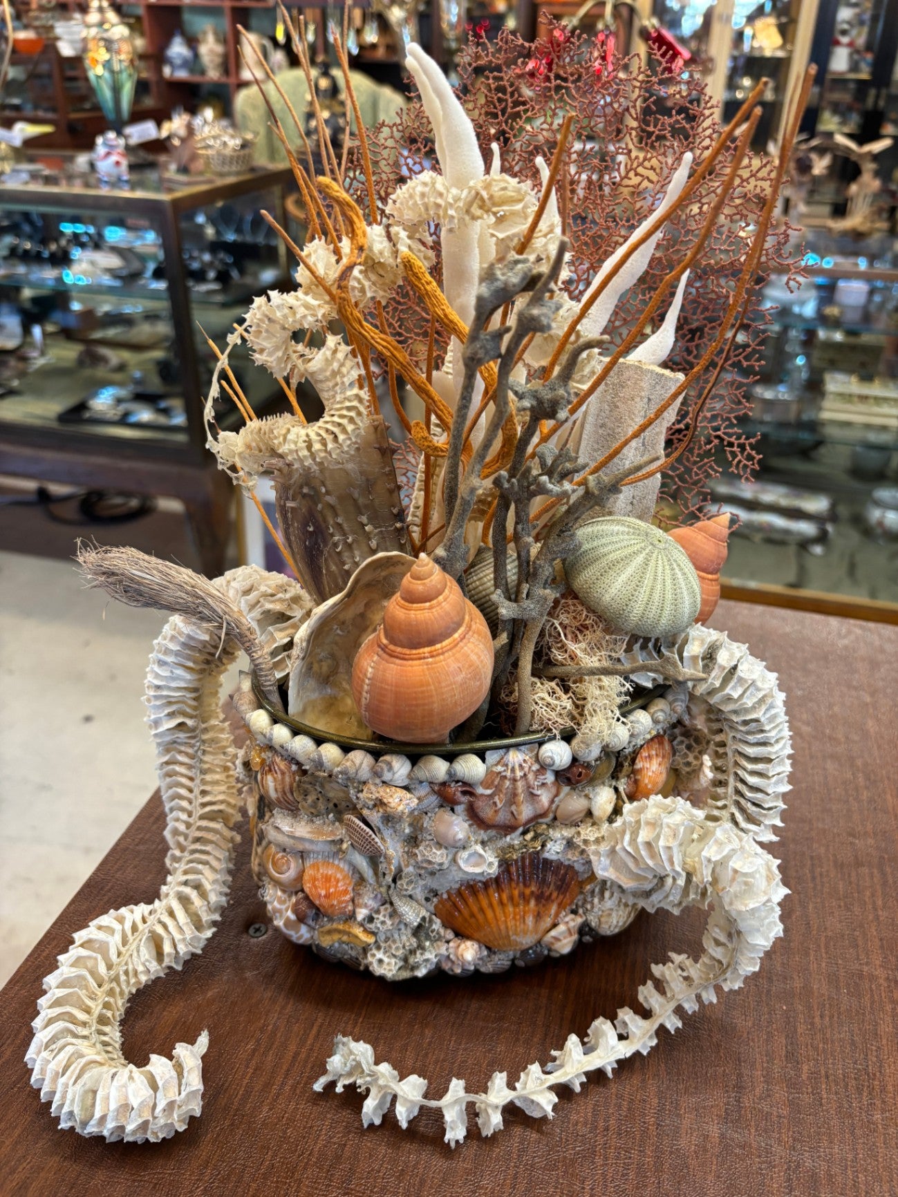 Seashell Arrangement