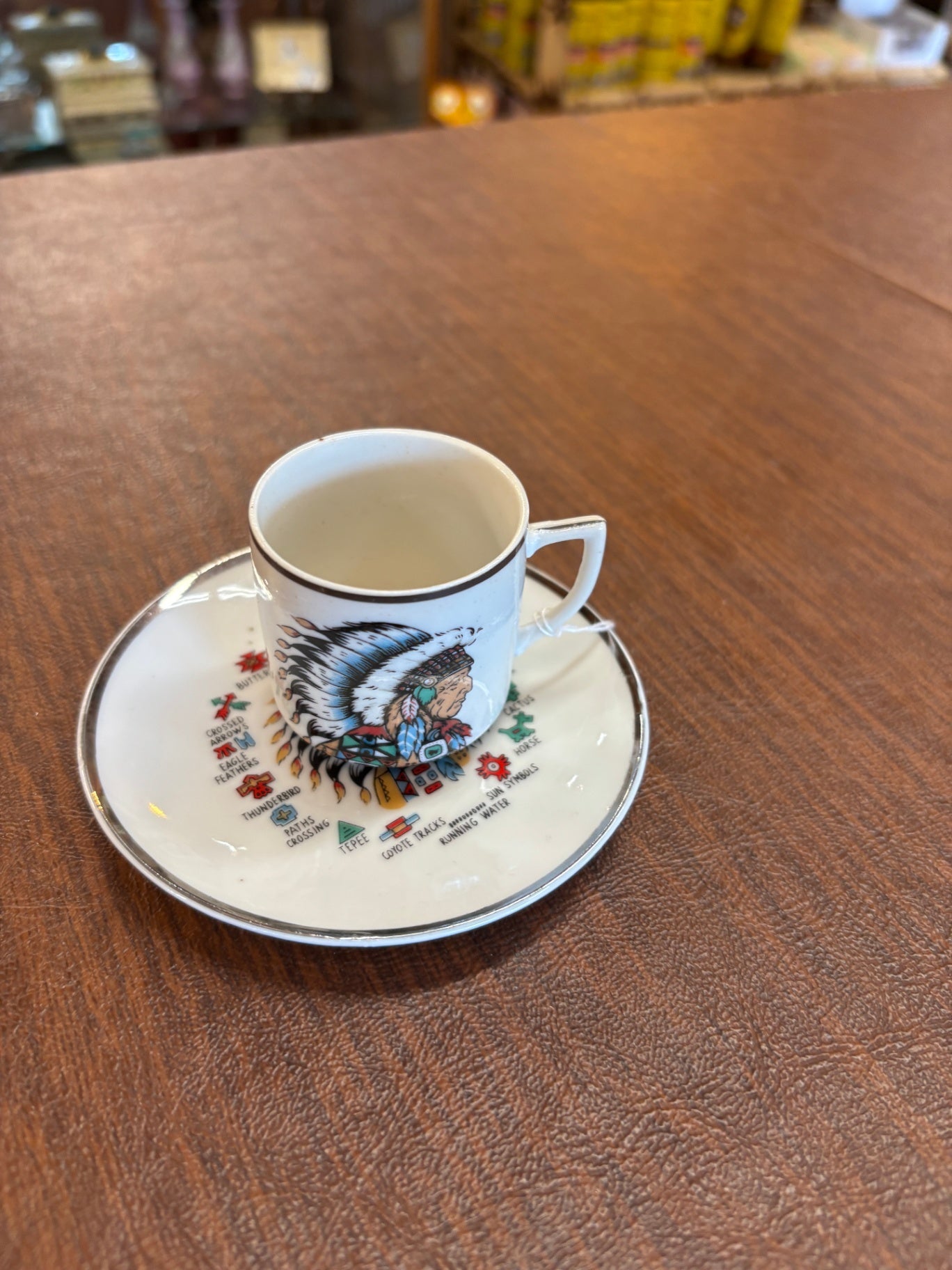 AMERICAN SYMBOLS CUP & SAUCER Indian Chief 