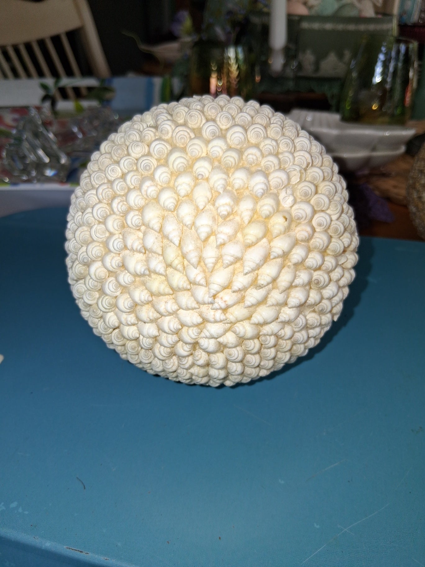 White a seashell ball dsc