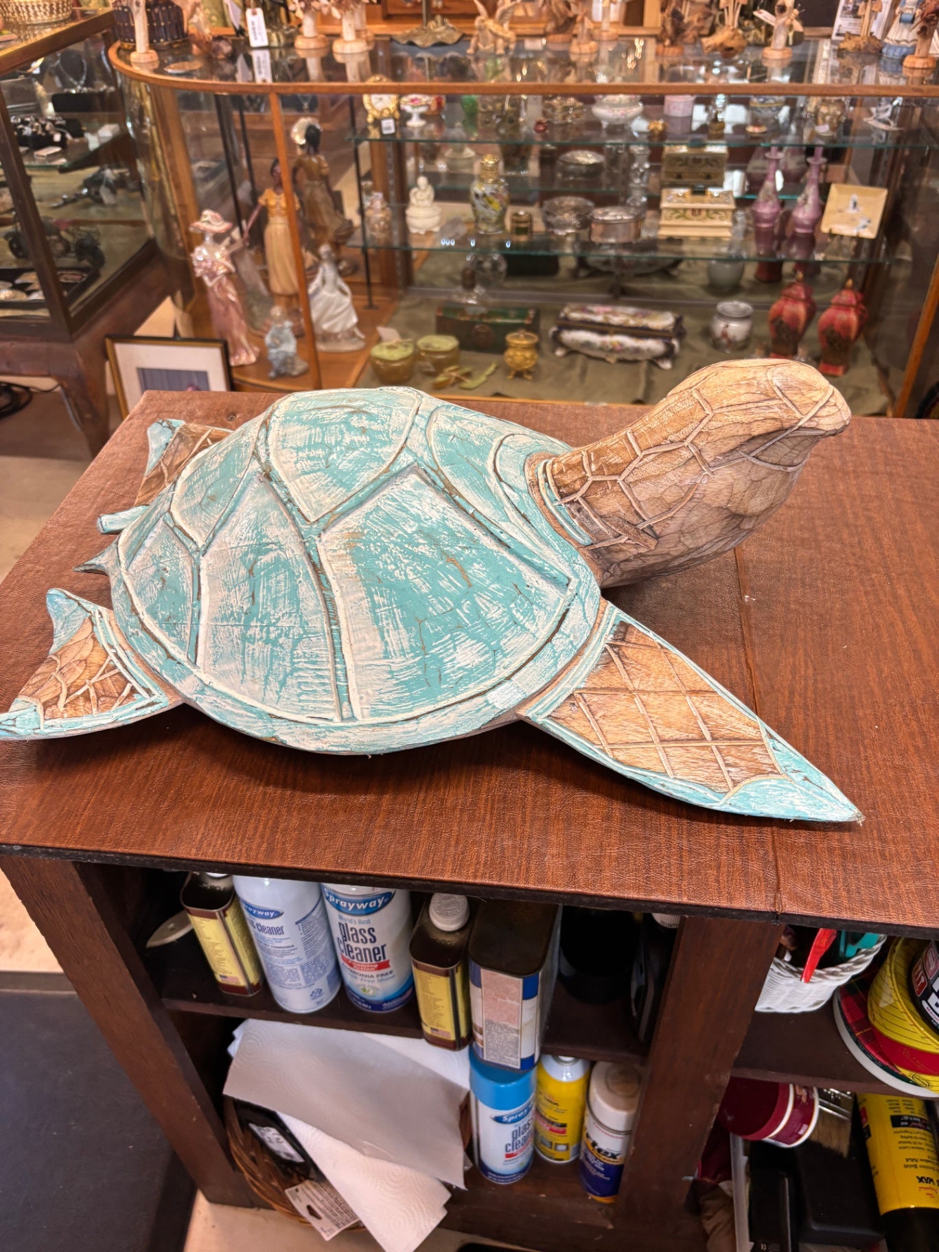 3D Turtle