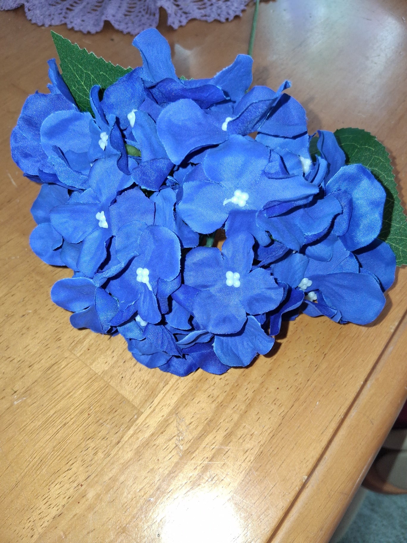 Hydrangea dk blue dsc