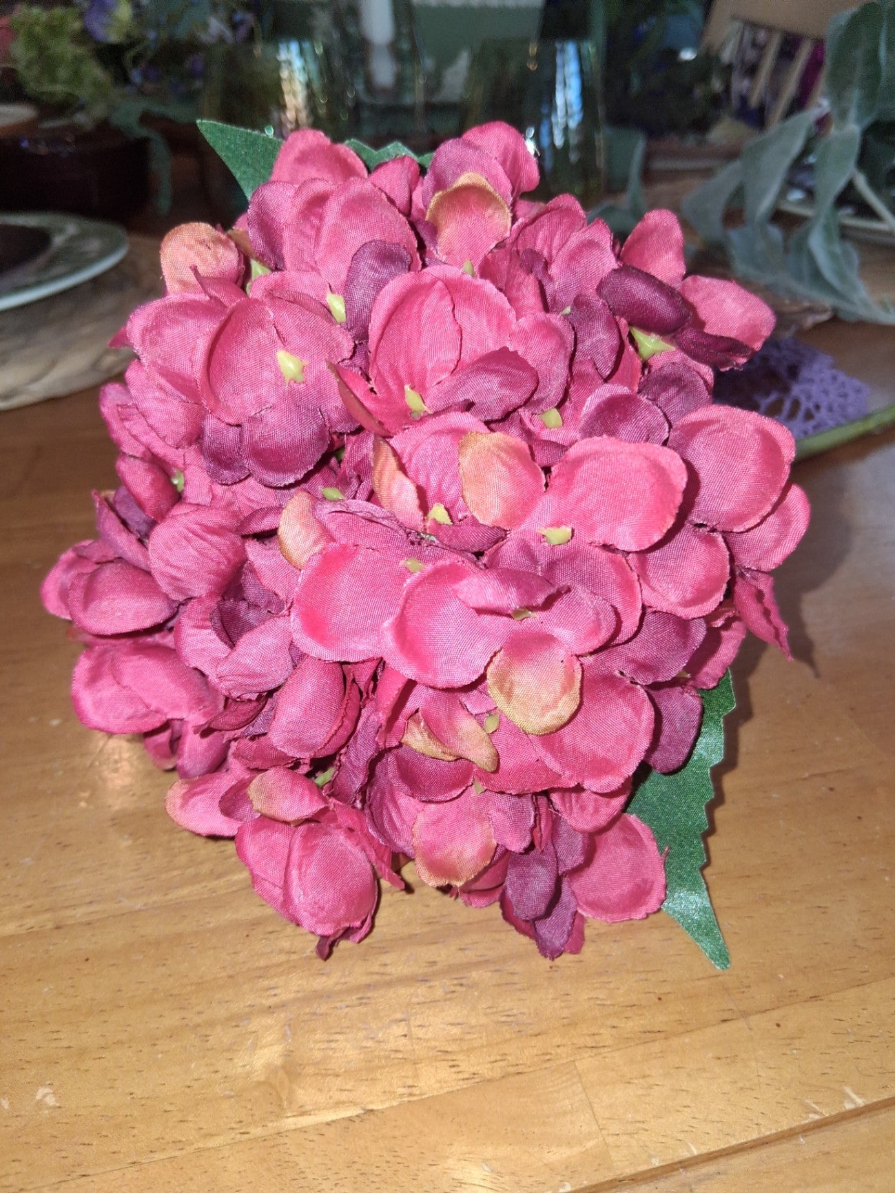 Hydrangea red dsc