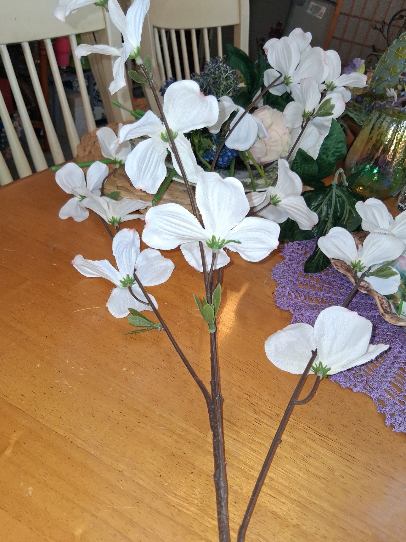 Dogwood dsc