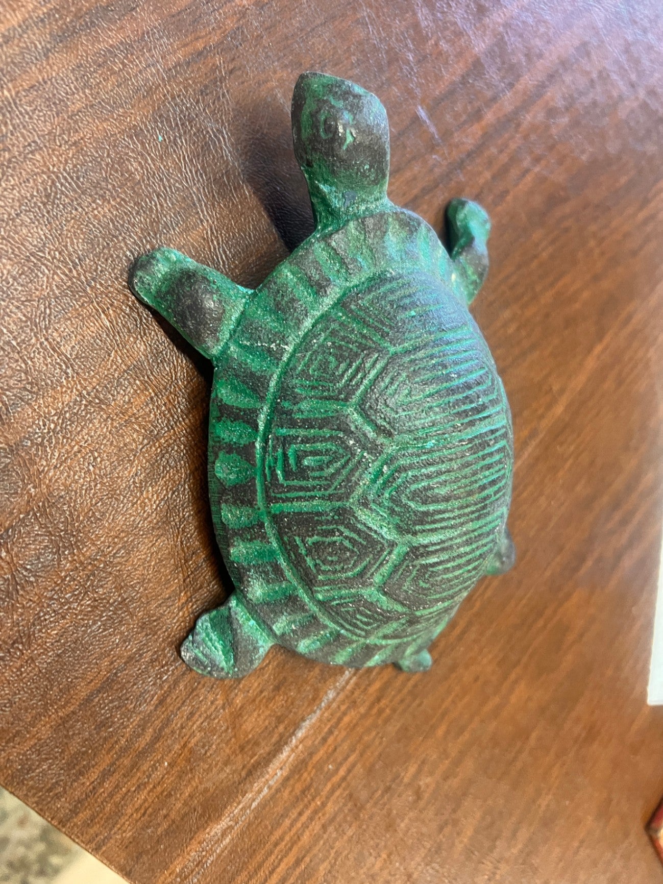 Cast Iron Turtle