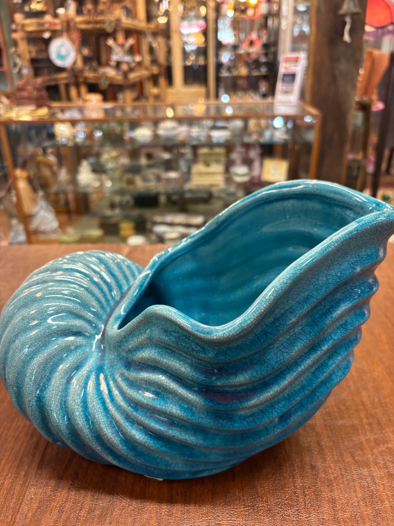Apropos Shell Vase