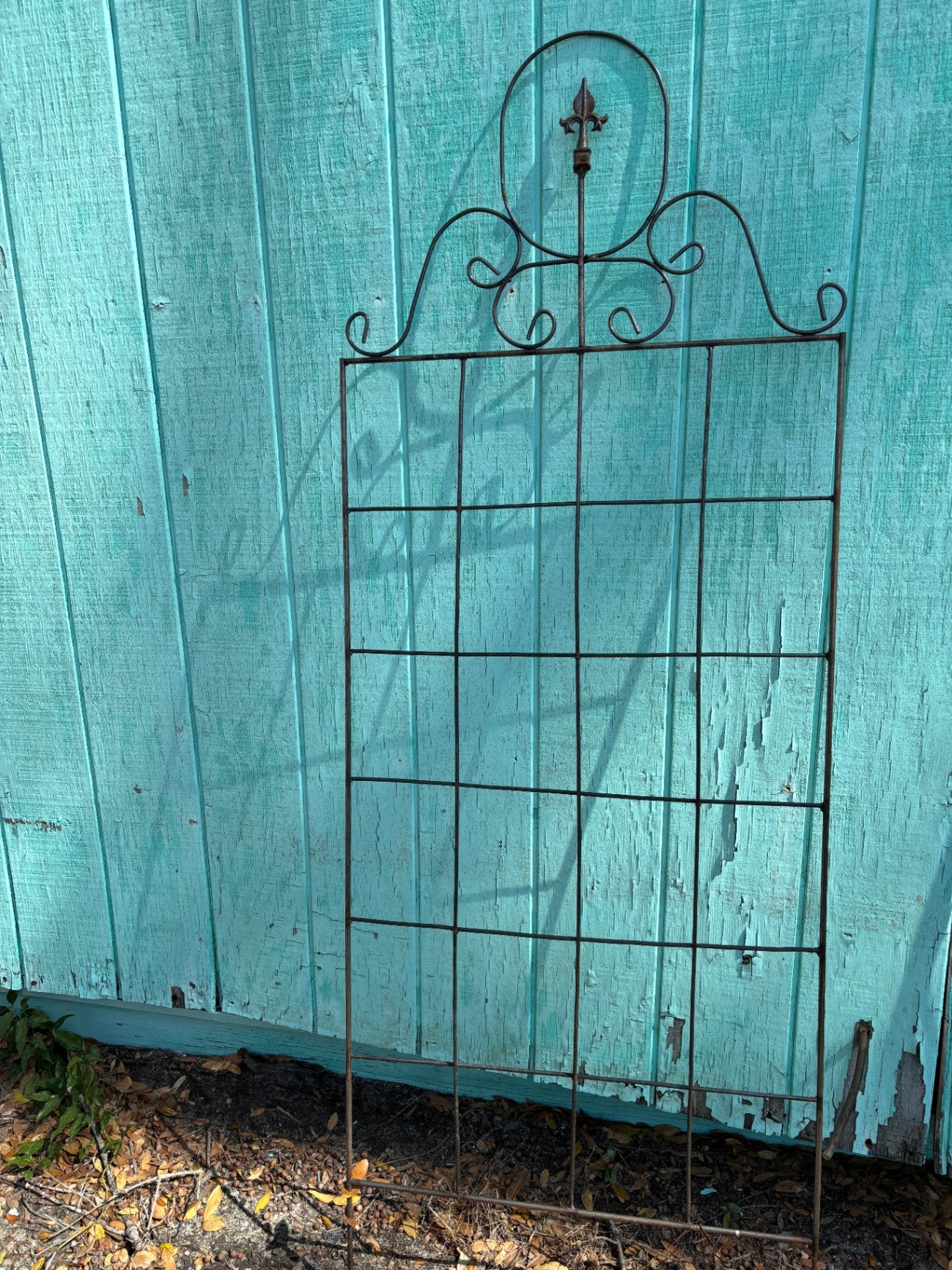 Wrought Iron Mable Trellis for Climbing Flowers