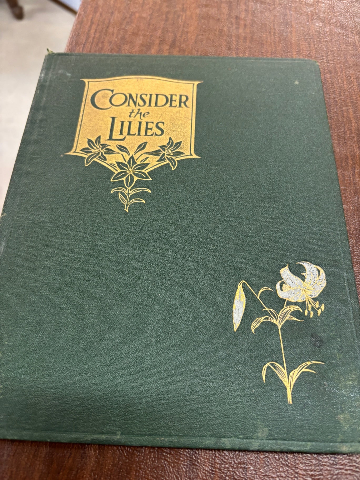 CONSIDER THE LILIES Hardcover - 1927 by Marshall, William Emerson