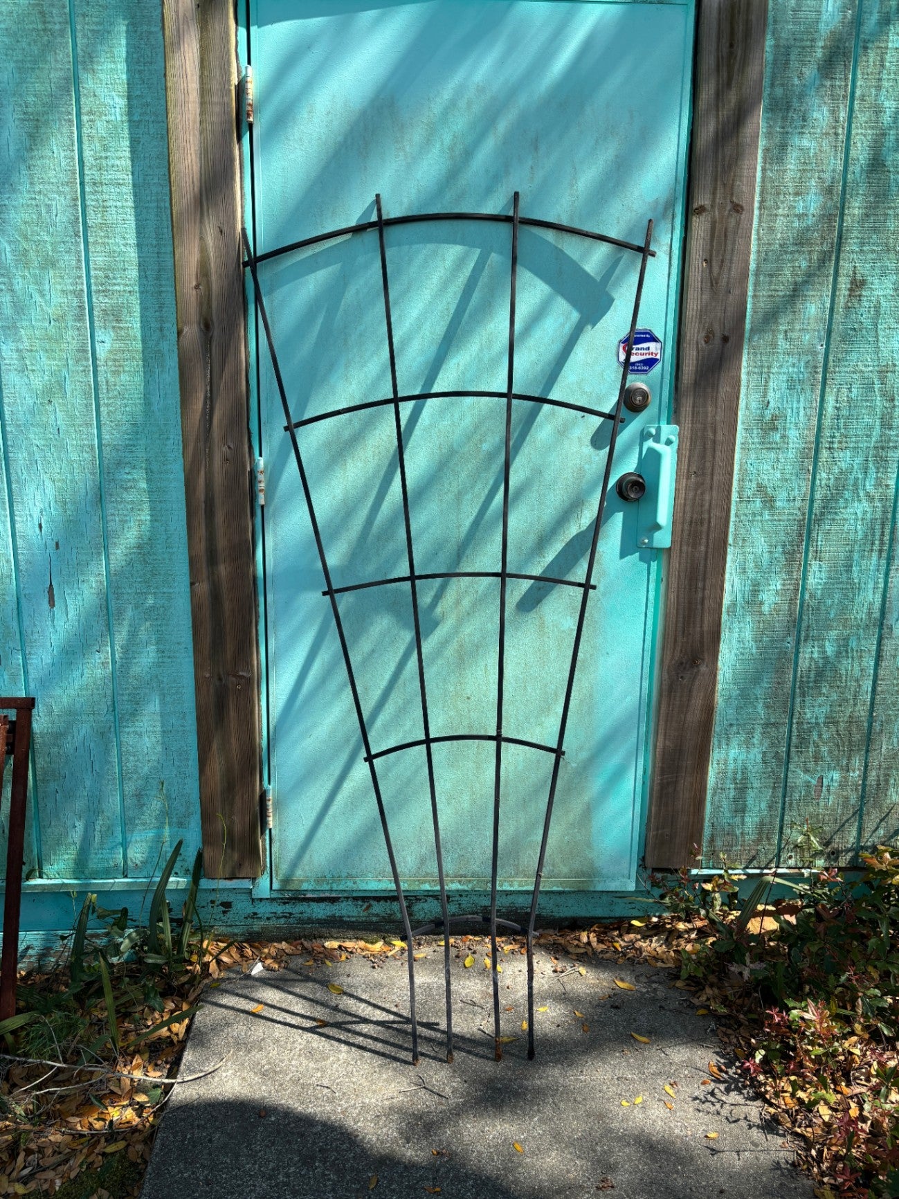 Heavy Duty Metal Garden Trellis for Climbing Plants