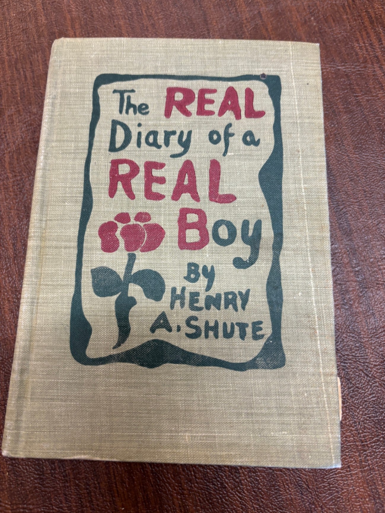 The Real Diary of A Real Boy 