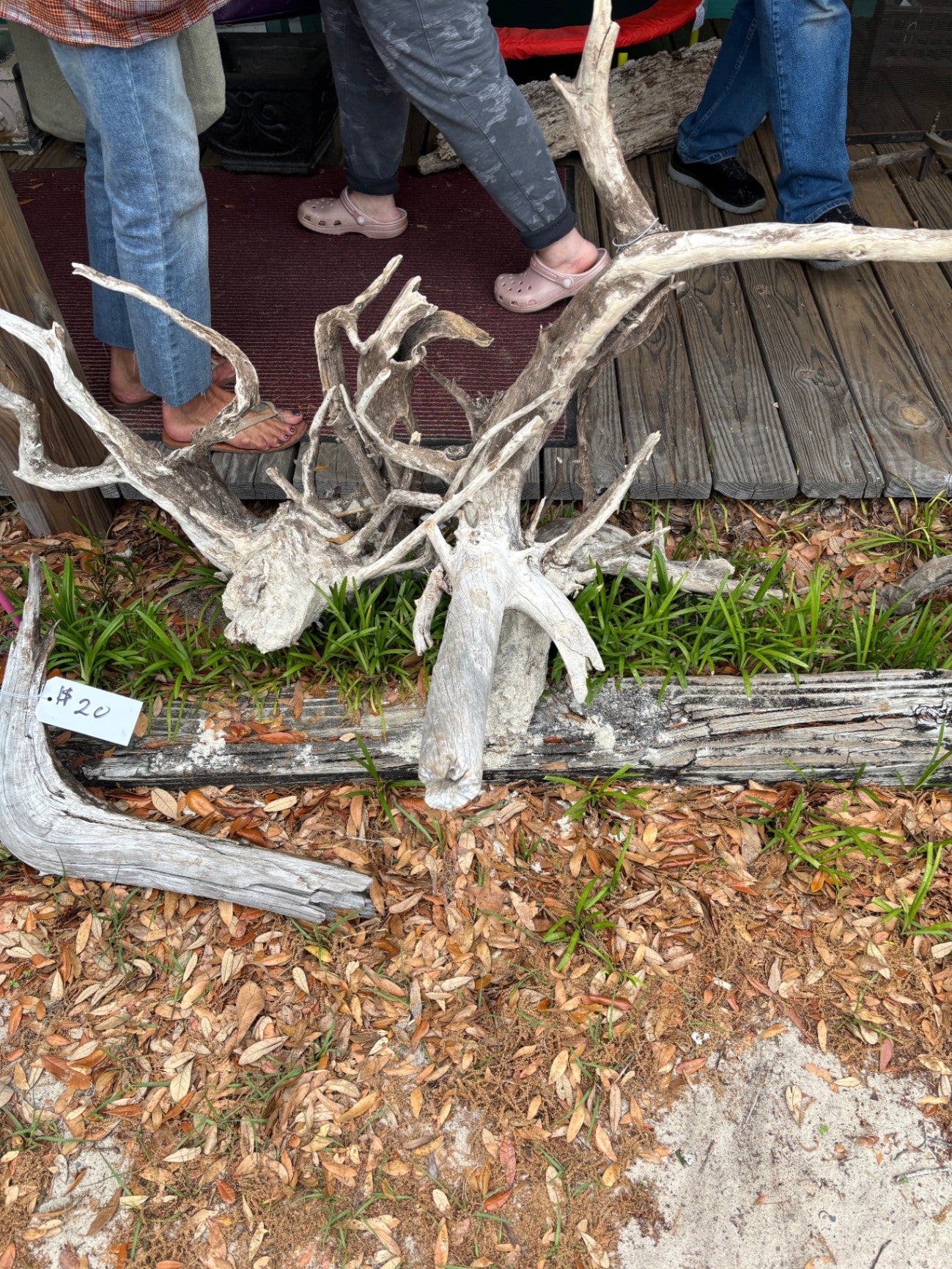 driftwood