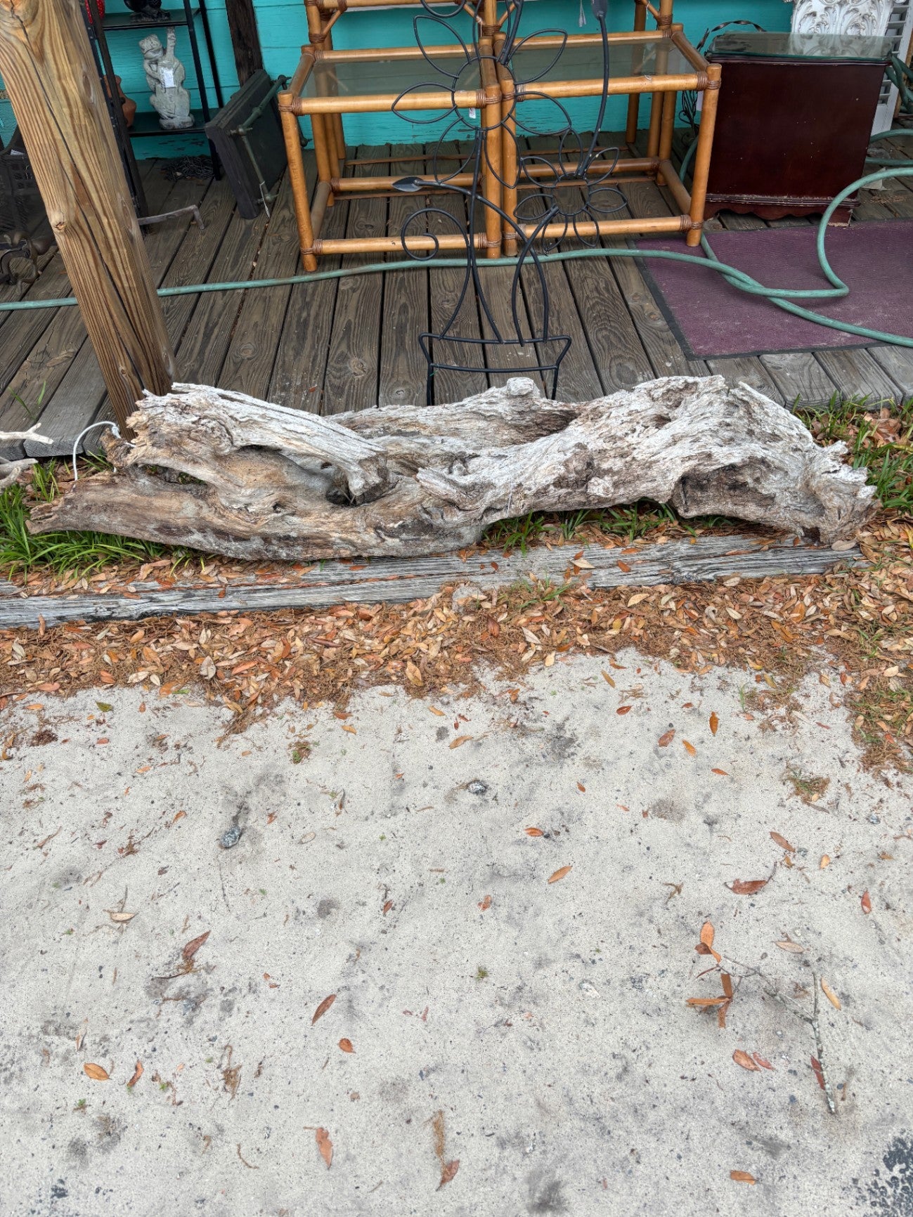 Drift Wood