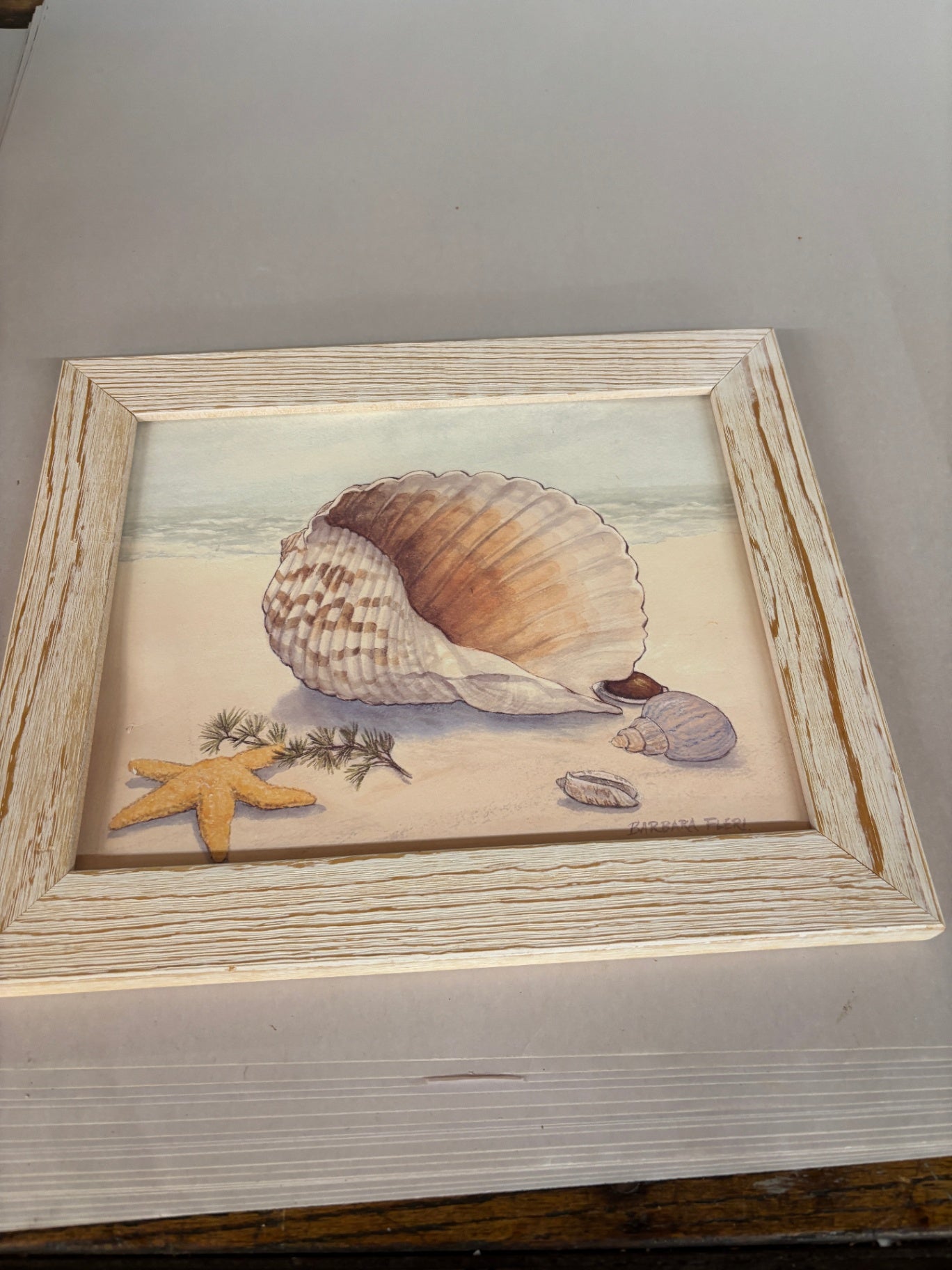 Sea shell Art