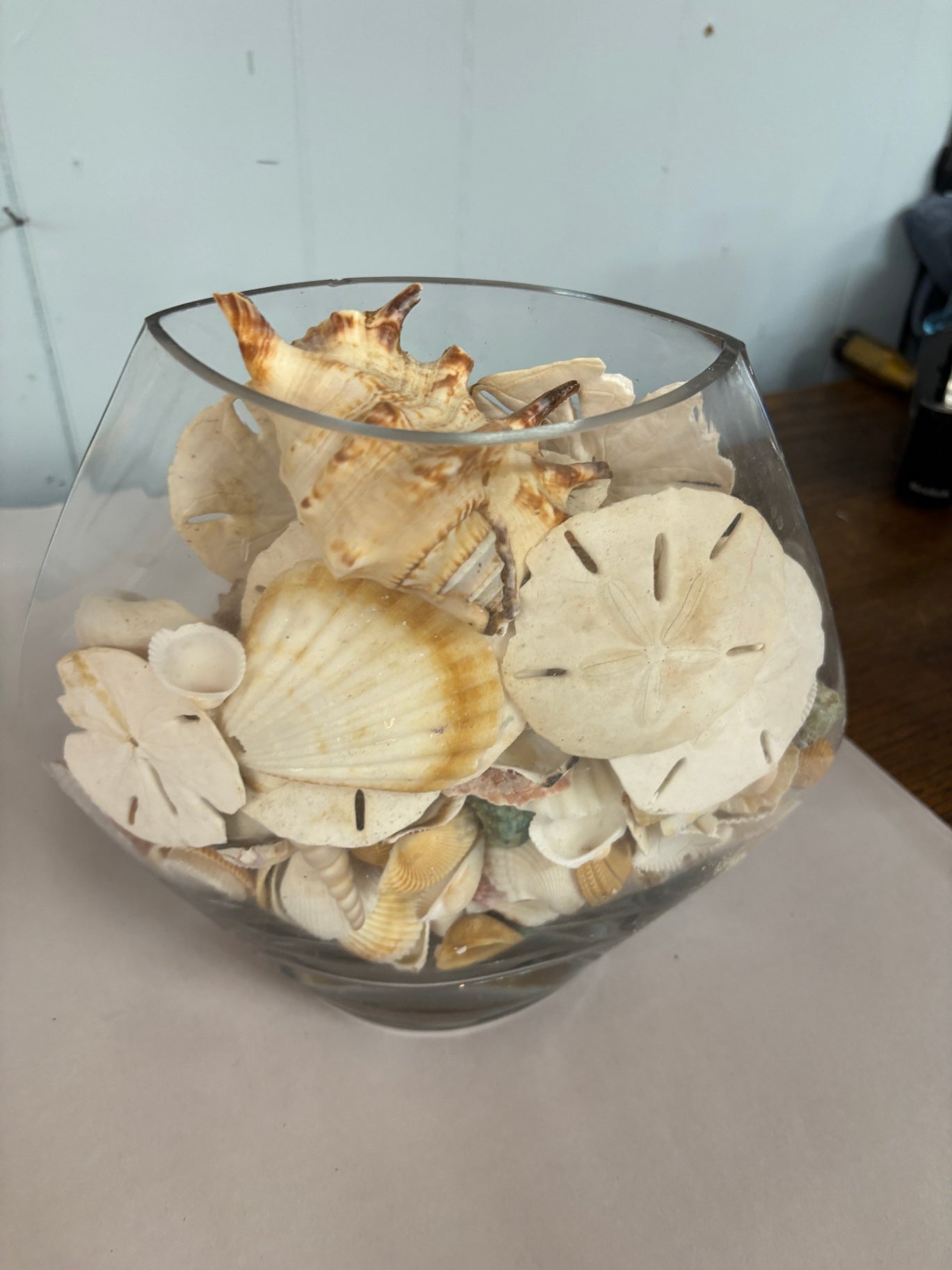 Vase of Shells