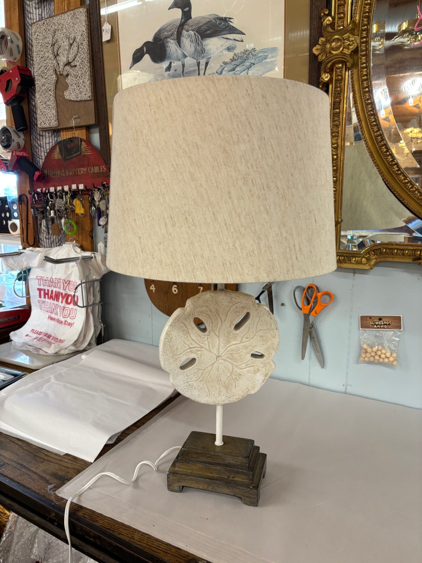 Sand Dollar Lamp