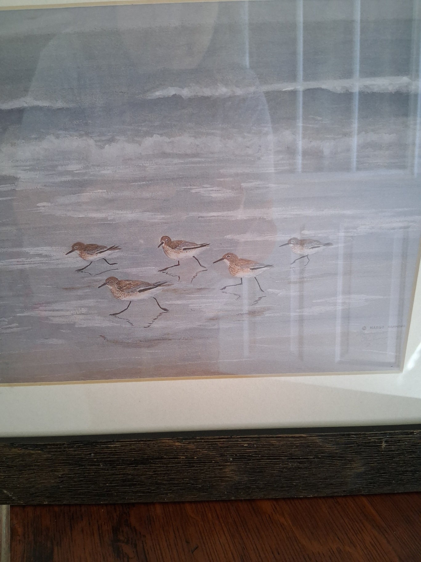 Sandpiper picture ddc 