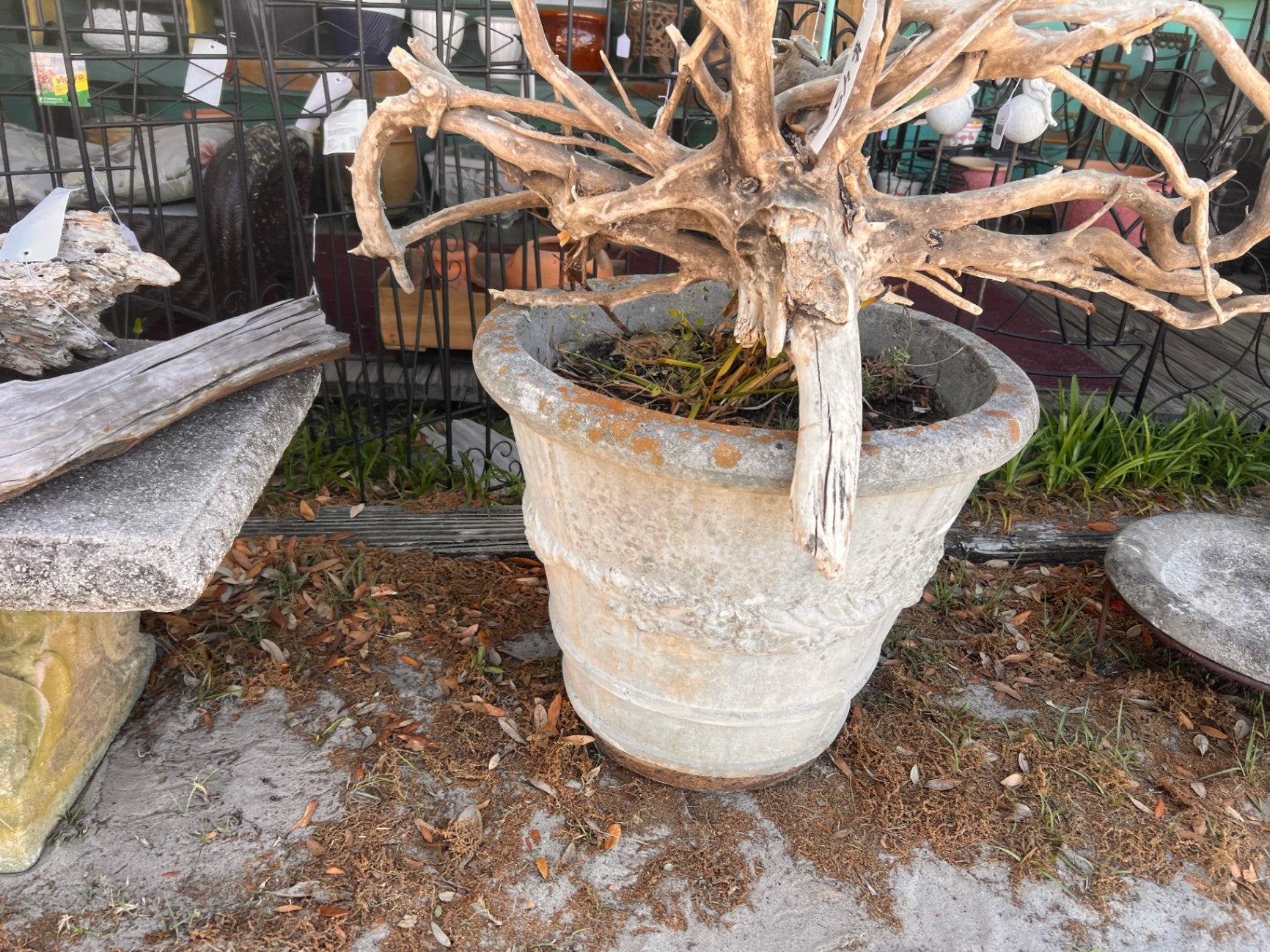 Large Concrete Planter