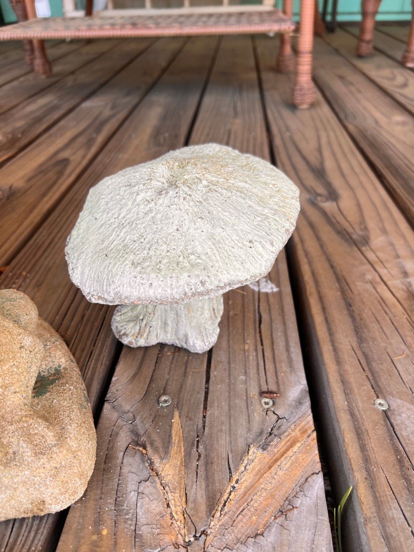 Mushroom Concrete Statute