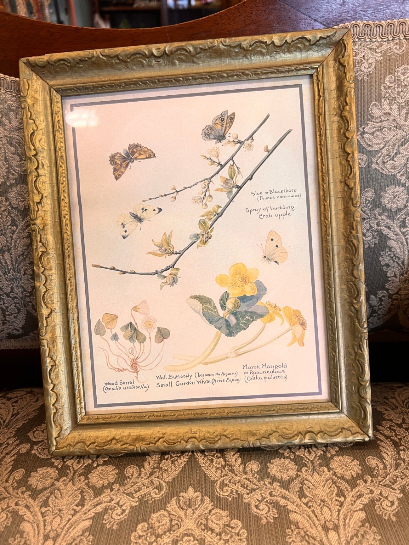 Multicolor Paper, Frame Decorative Wall Hanging Not specified