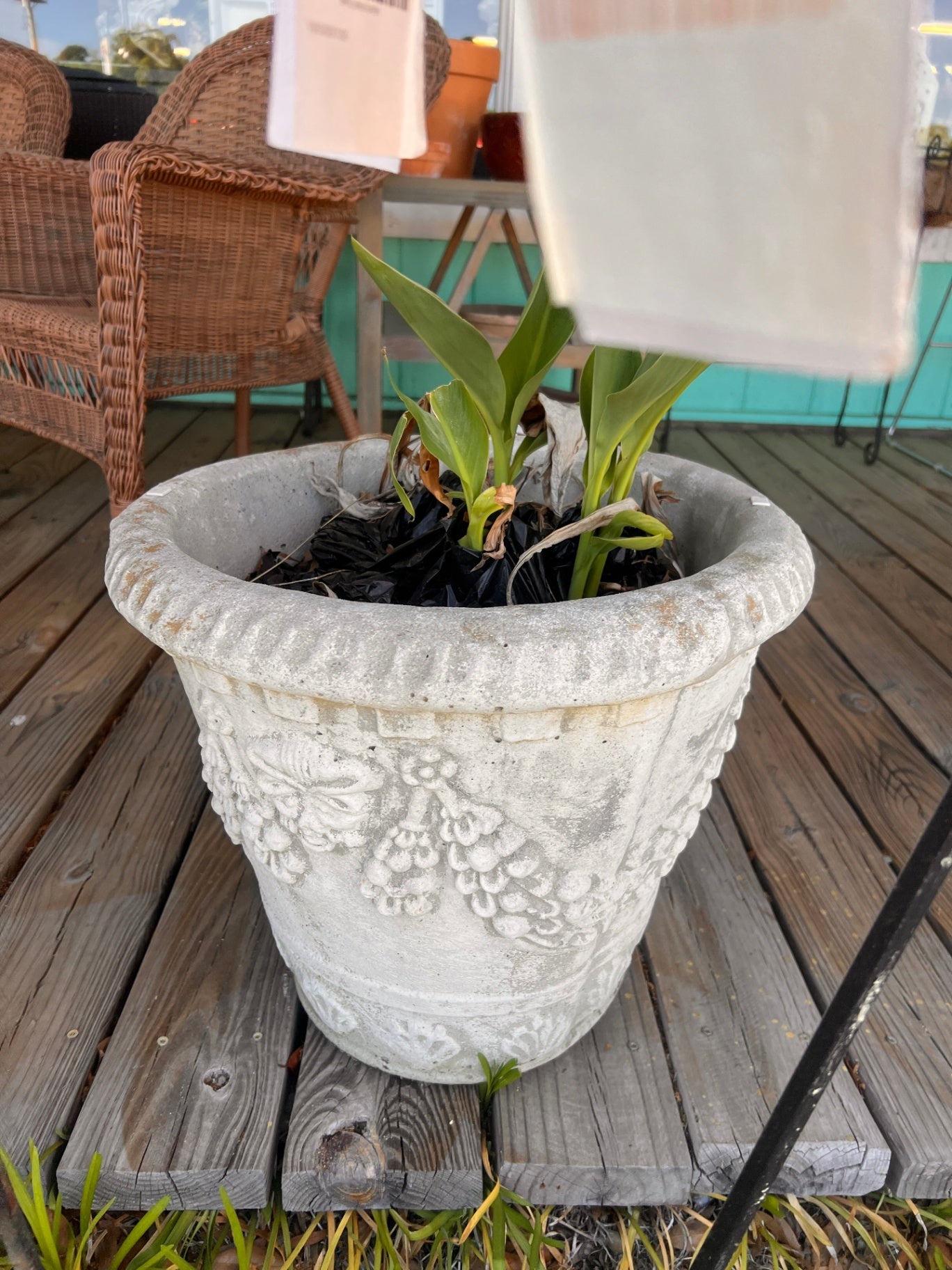 Concrete Planter With Lillies