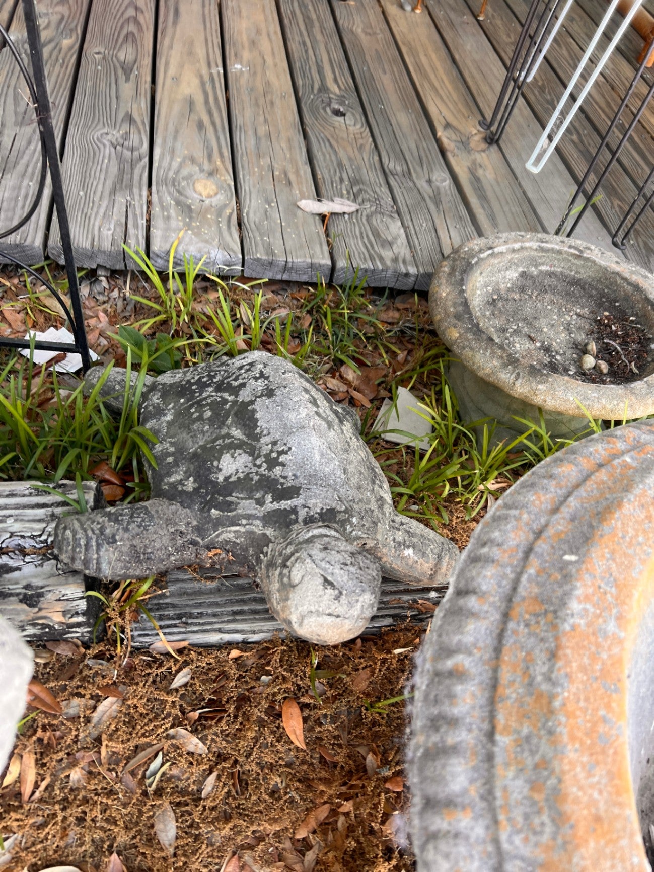 Concrete Turtle