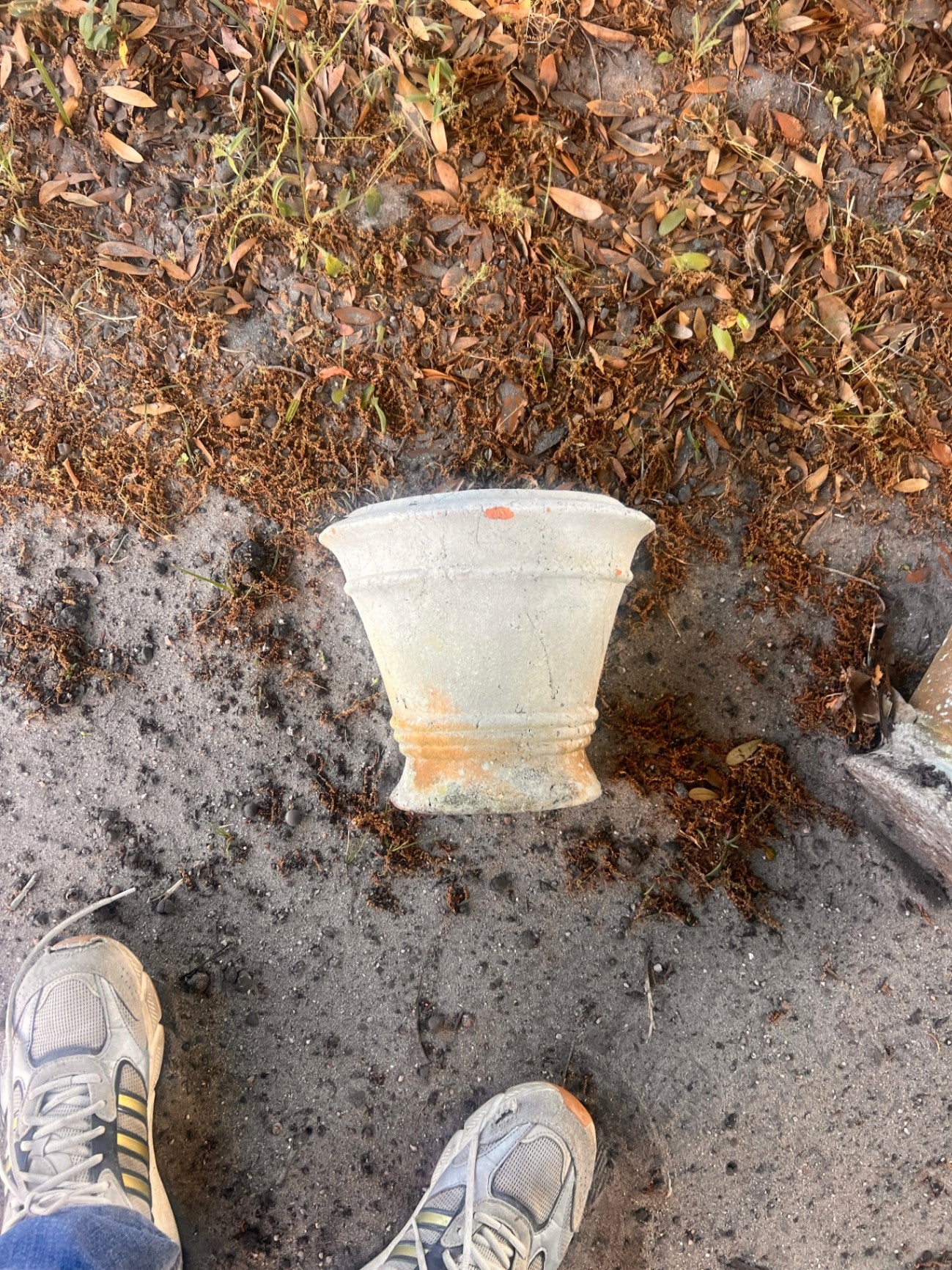 Wall Sconce Style Concrete Planter