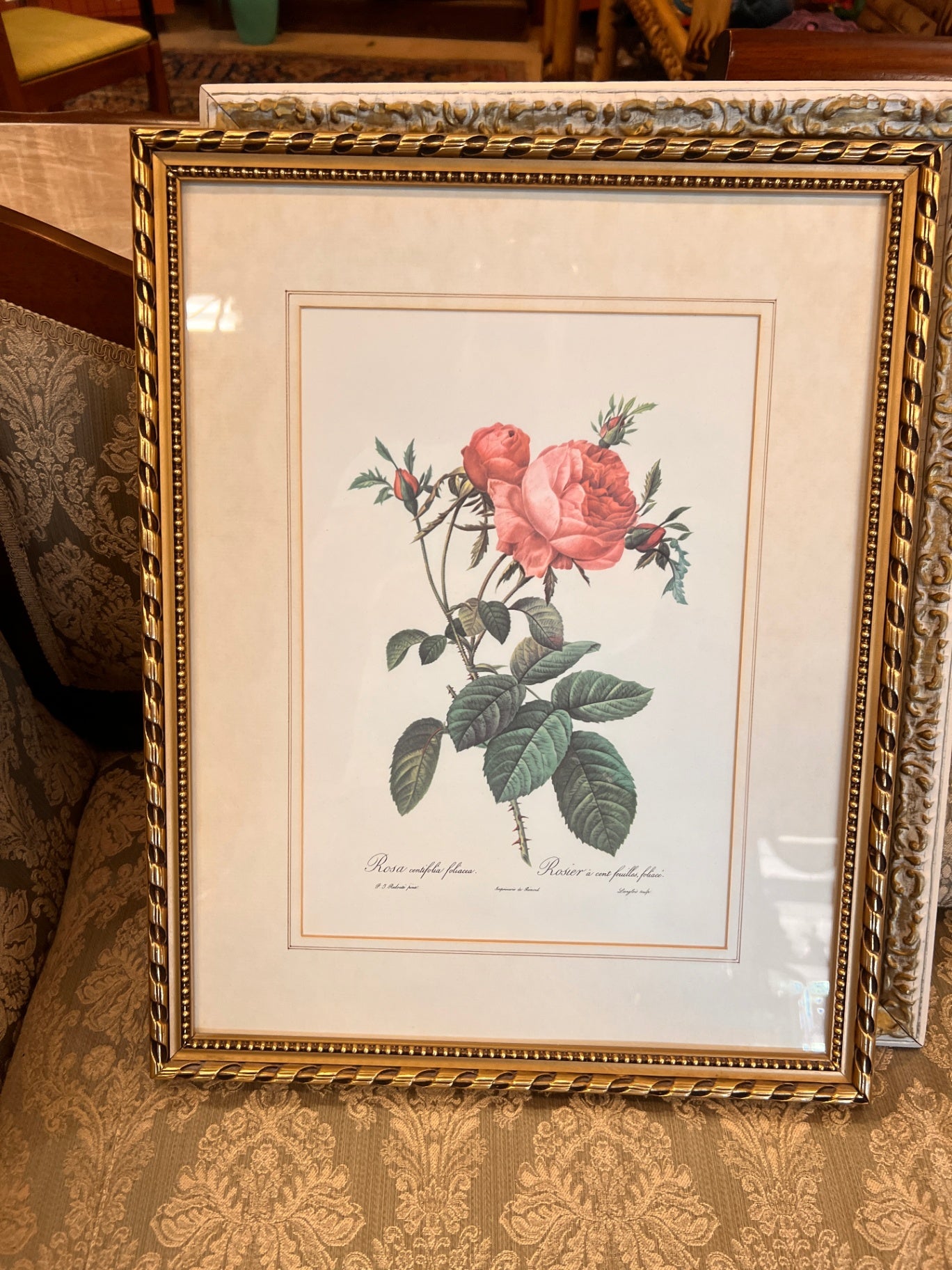 Pink, Green, Cream Paper Art Print