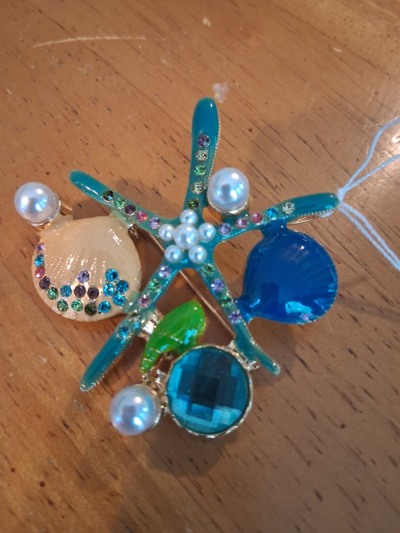 Pin starfish dsc 