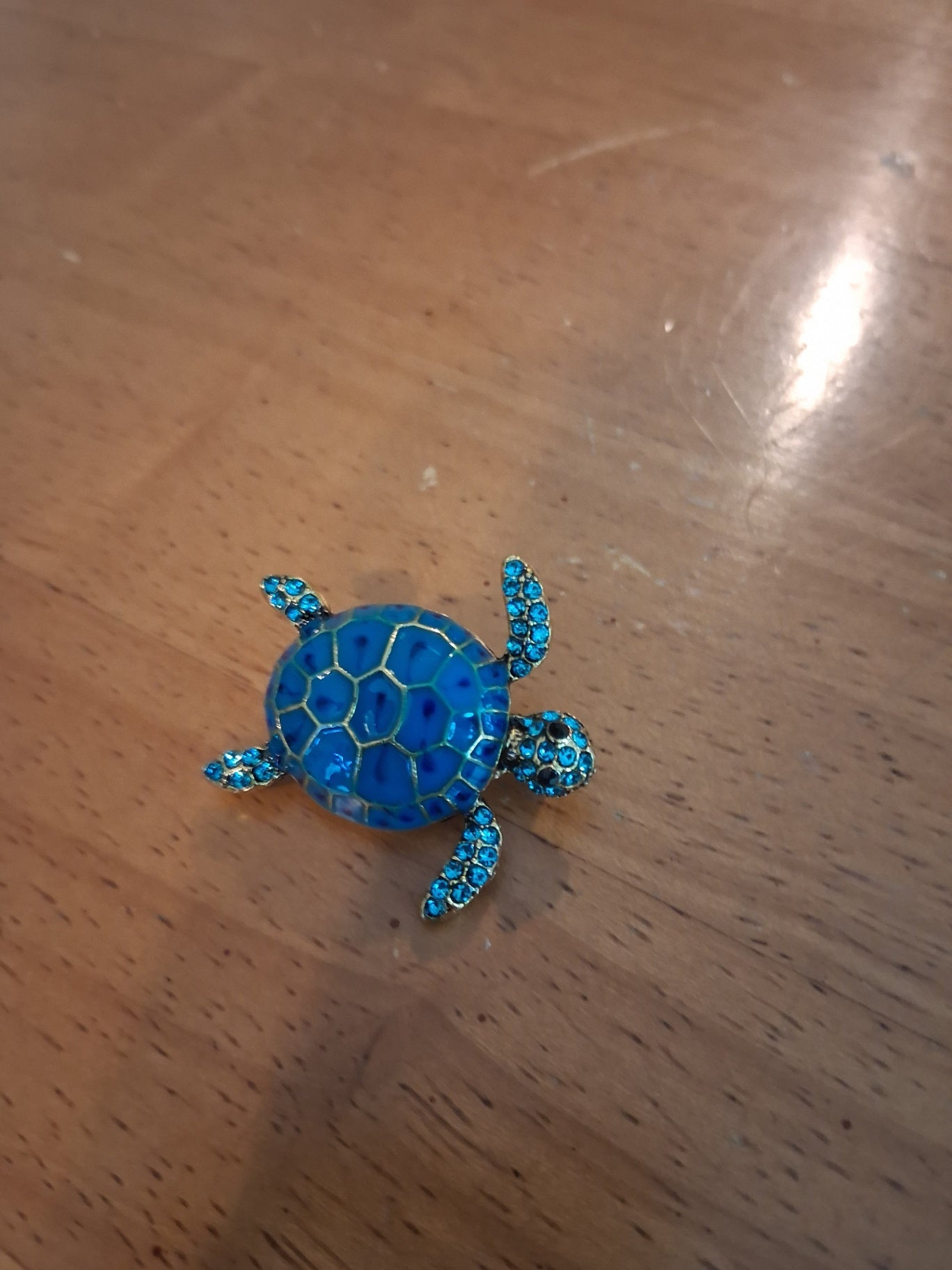 Pin turtle dsc 