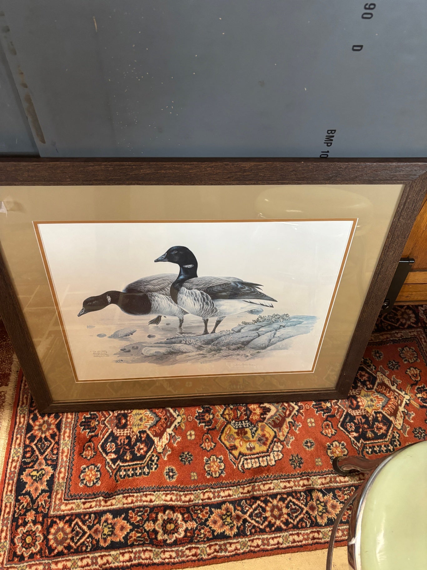  "Atlantic Brant" by artist Don Whitlatch
