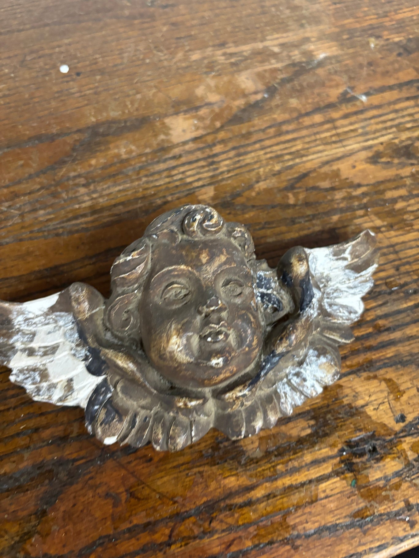 Winged Cherub Head