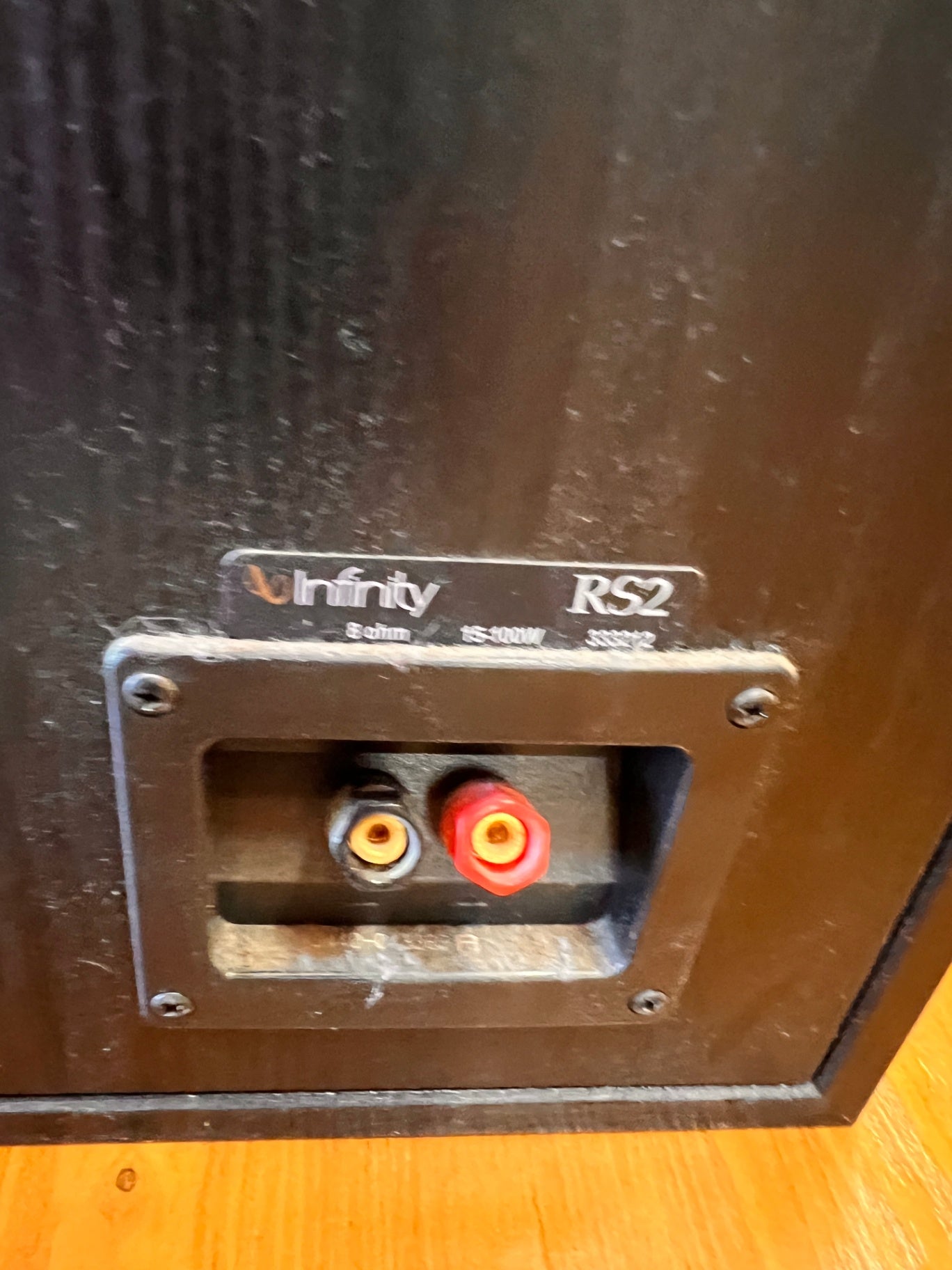 Infinity RS2 Speaker
