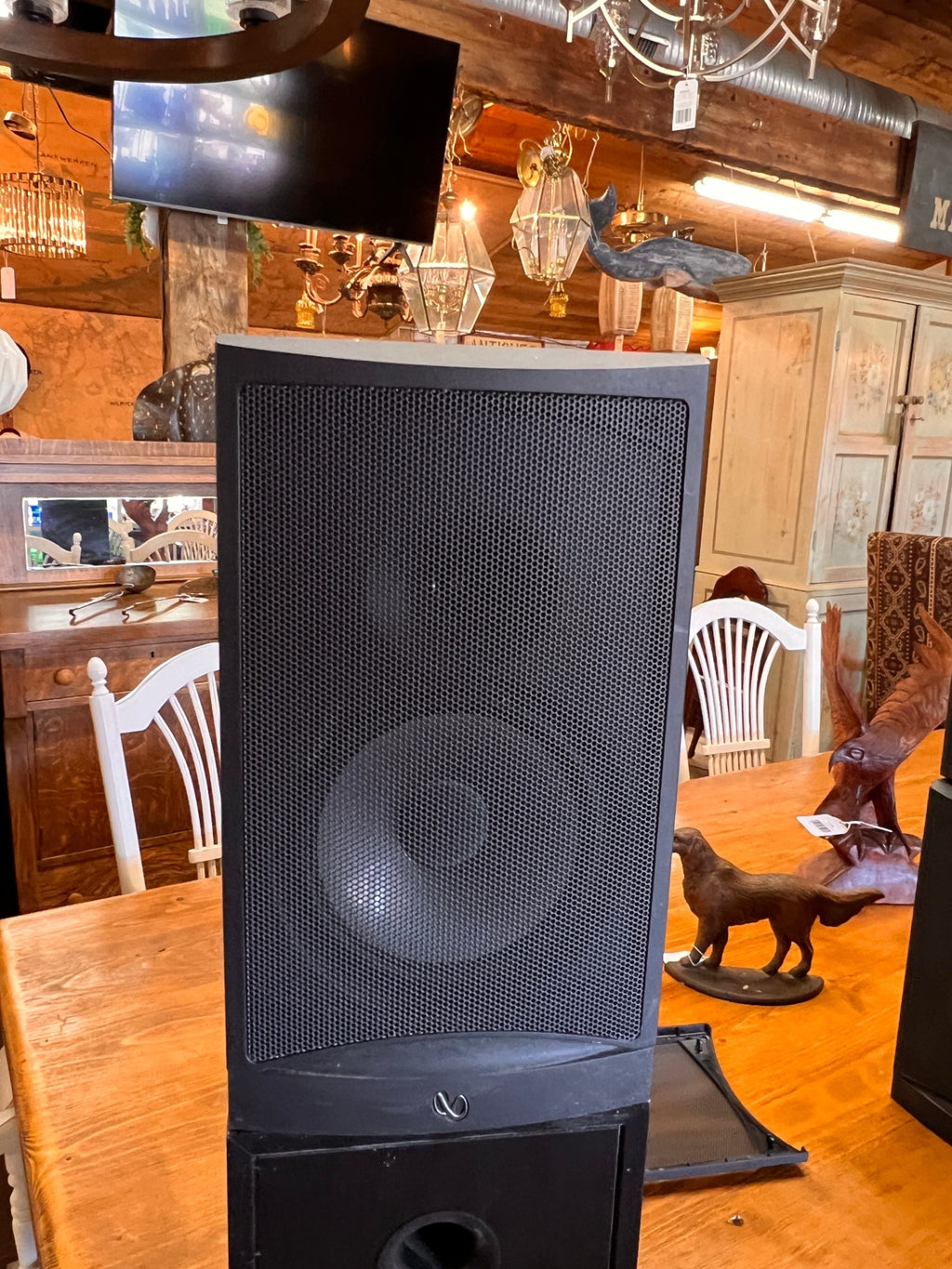 Infinity RS2 Speaker
