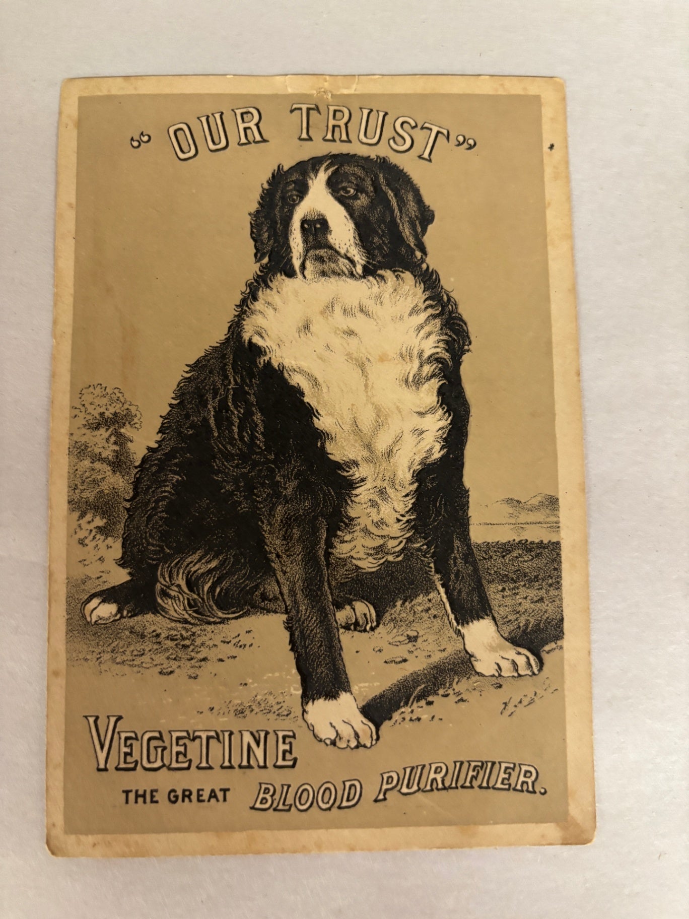  Vintage Victorian Trade Card From the 1880s Advertising "Vegetine" blood purifier medicine.