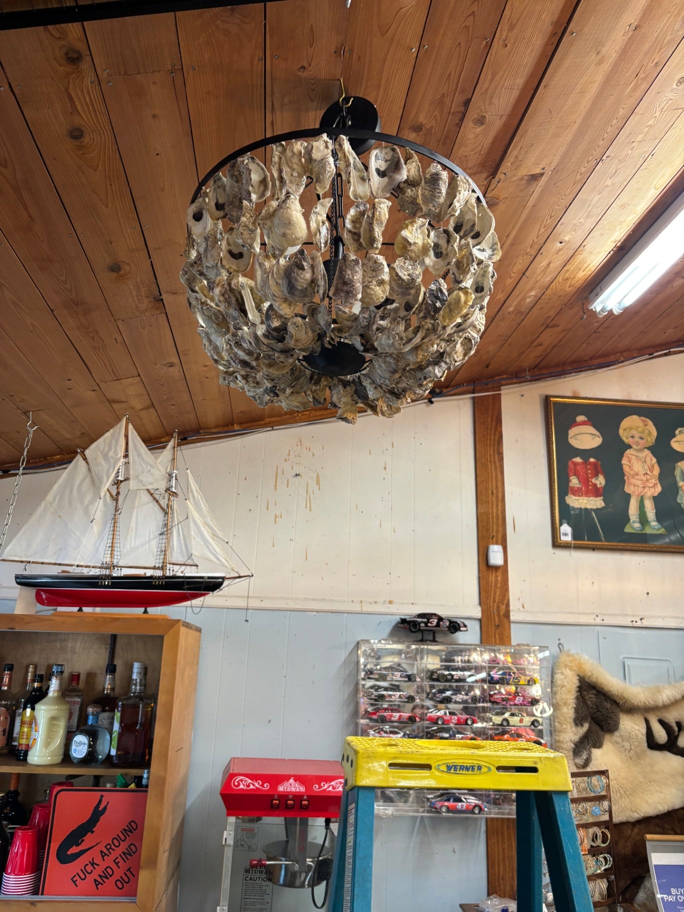 Coastal Oyster Shell Chandelier Hanging Light Fixture with Metal Frame