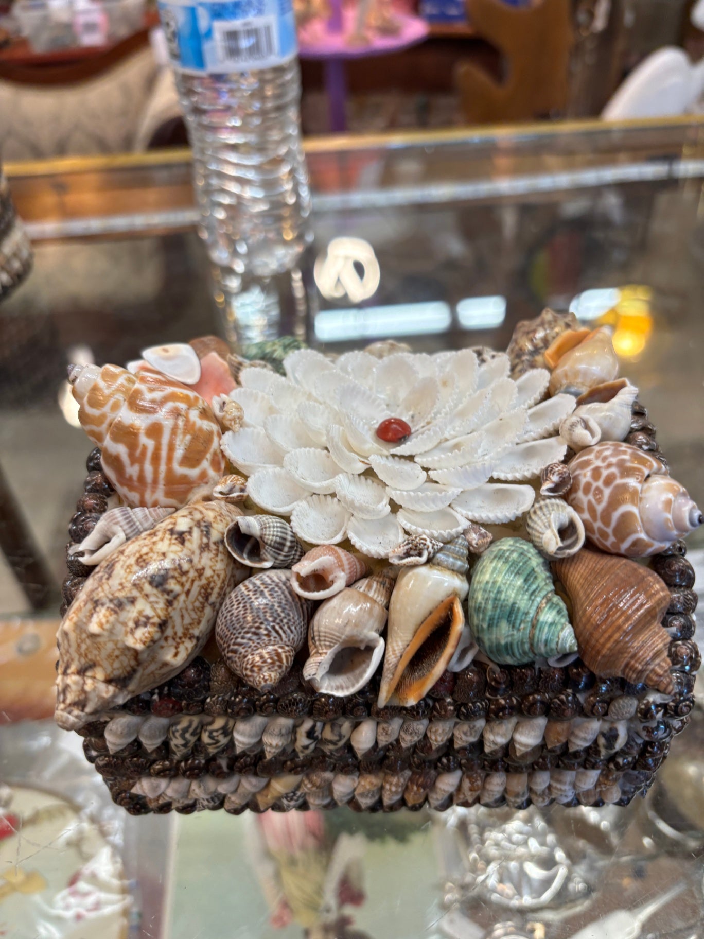 Square Shell Box