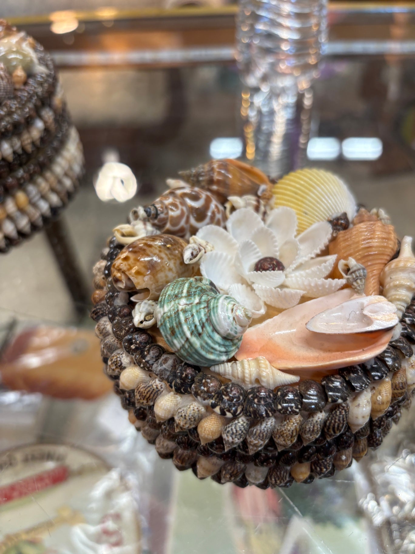 Round Shell Box