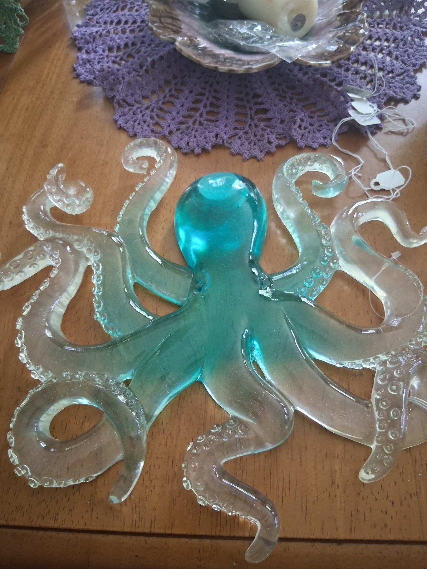 Octopus hanging dsc
