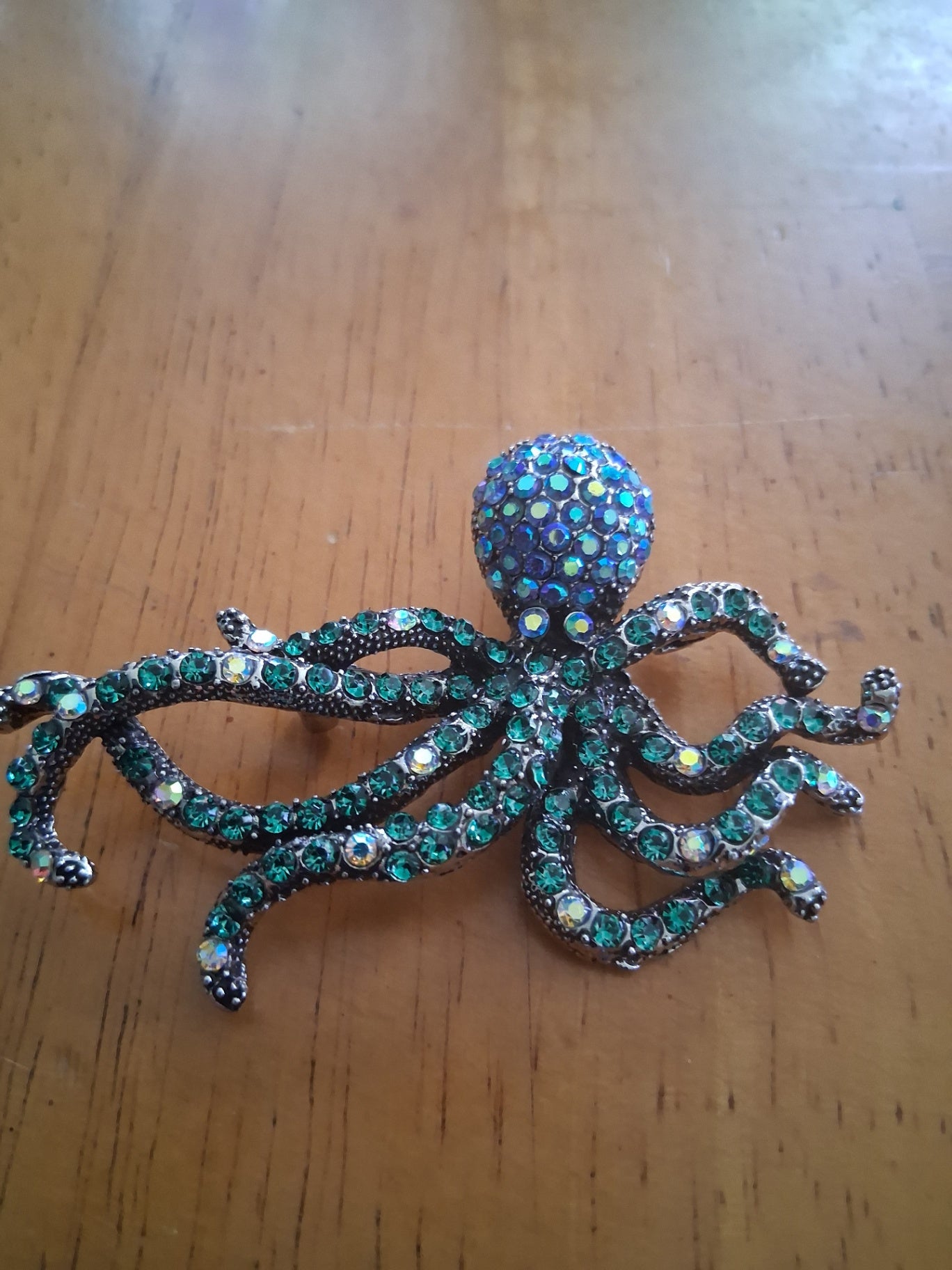 Pin octopus dsc