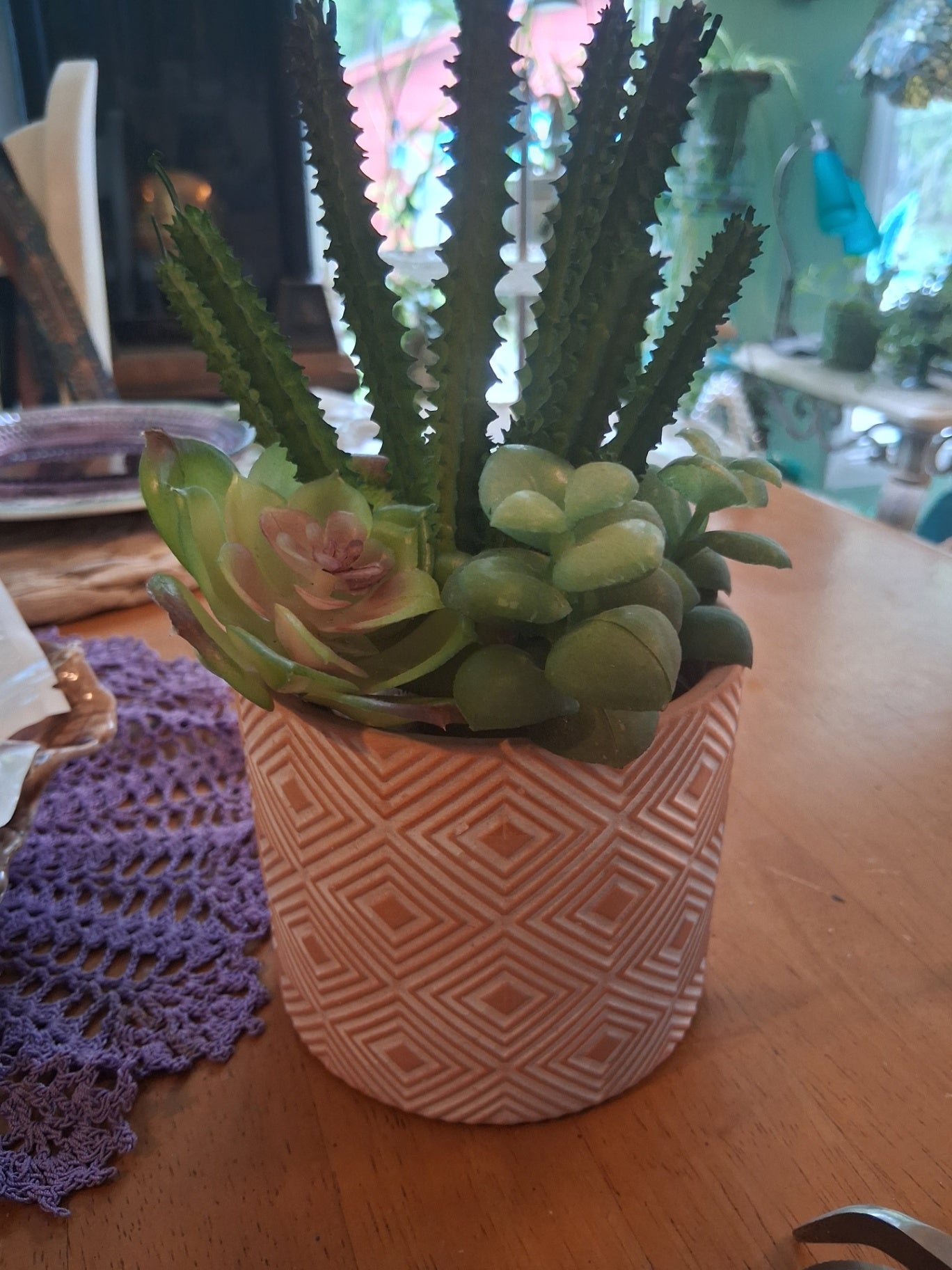 Clay cactus pot dsc