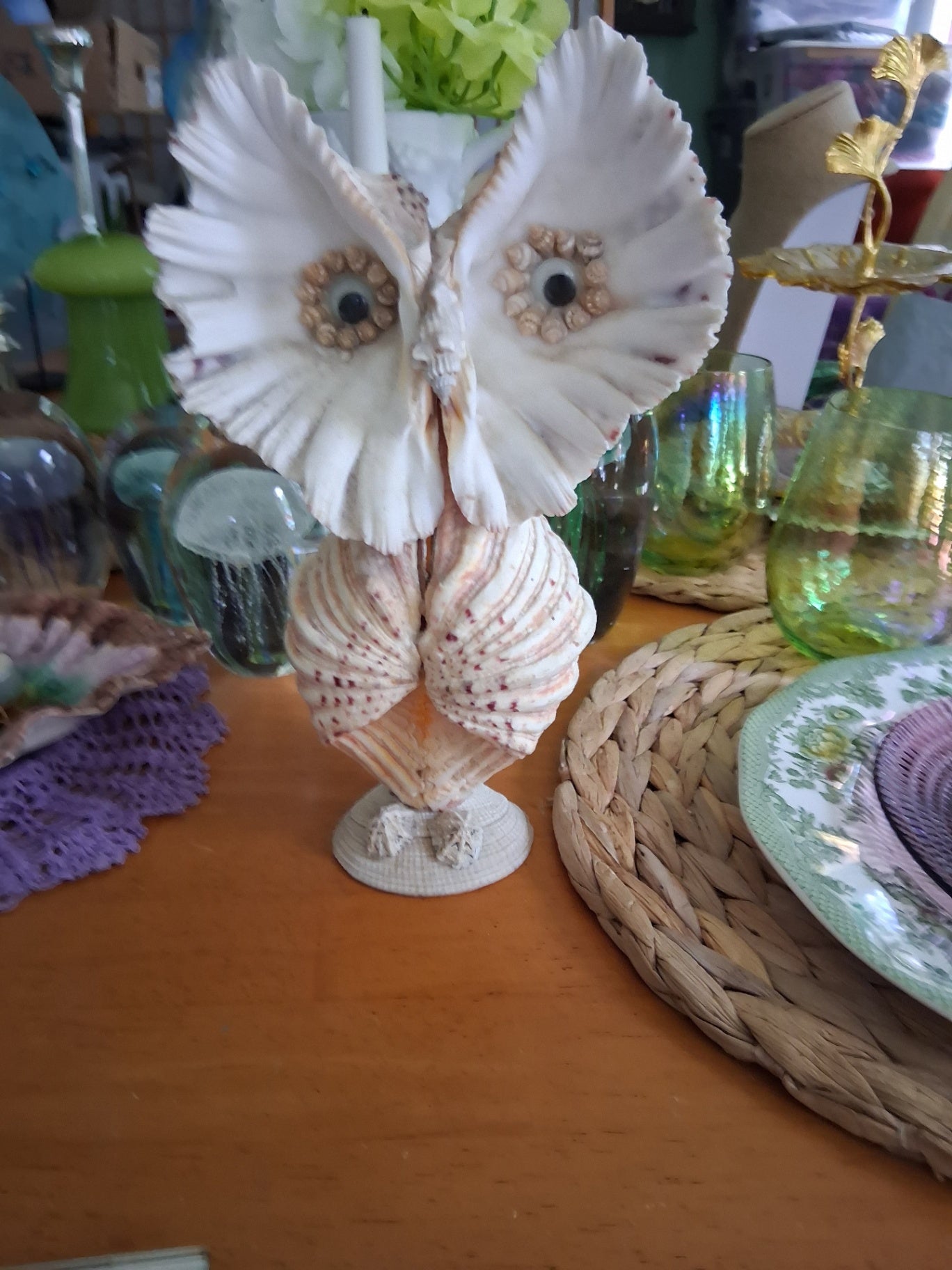Owl seashell dsc