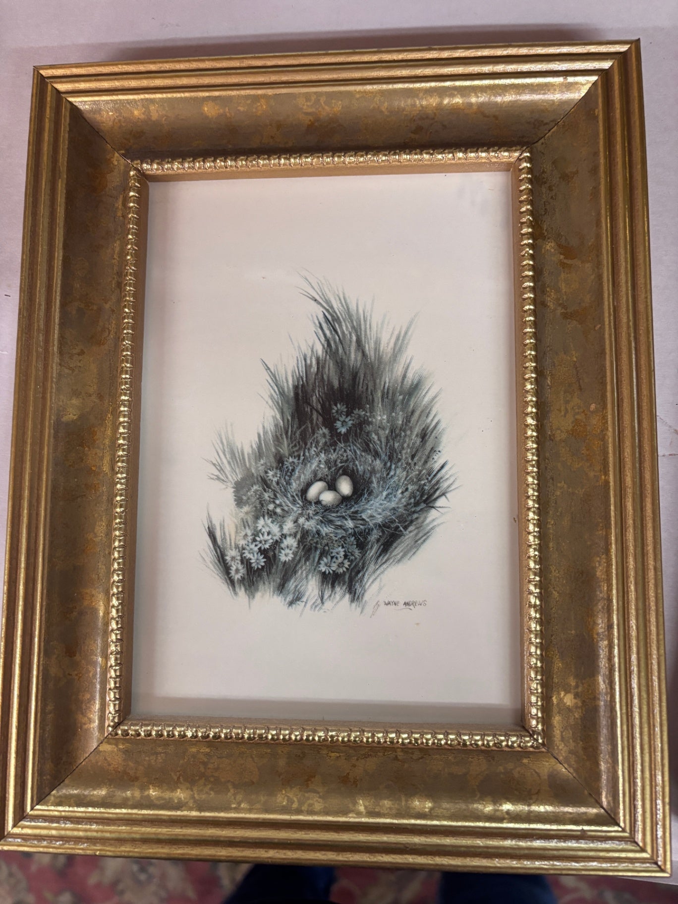 Vintage Wayne Andrews Bird Nest Print Framed Nature Artwork with Gold Gilt Frame