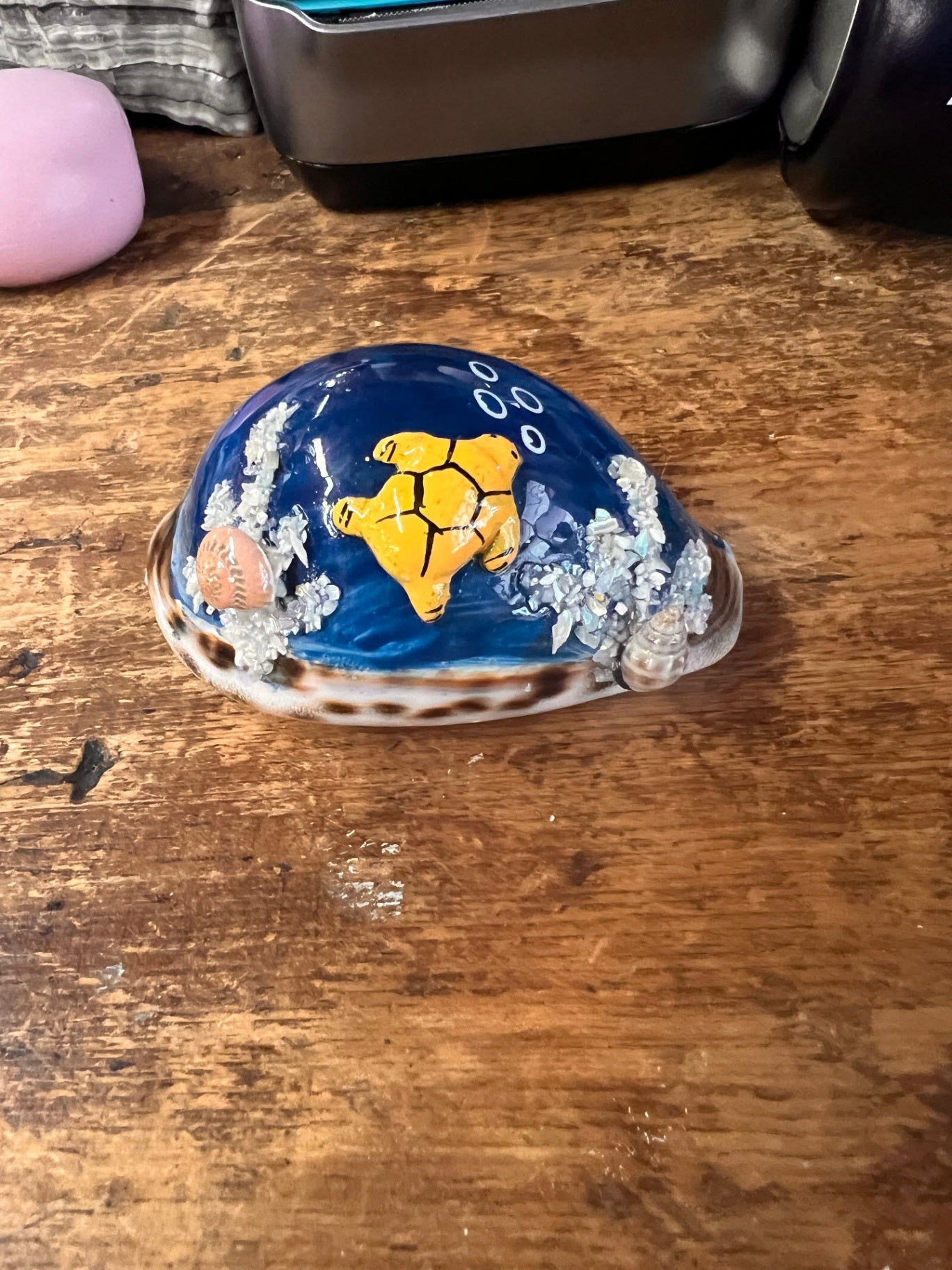 3-D Decorated Cowrie Shell
