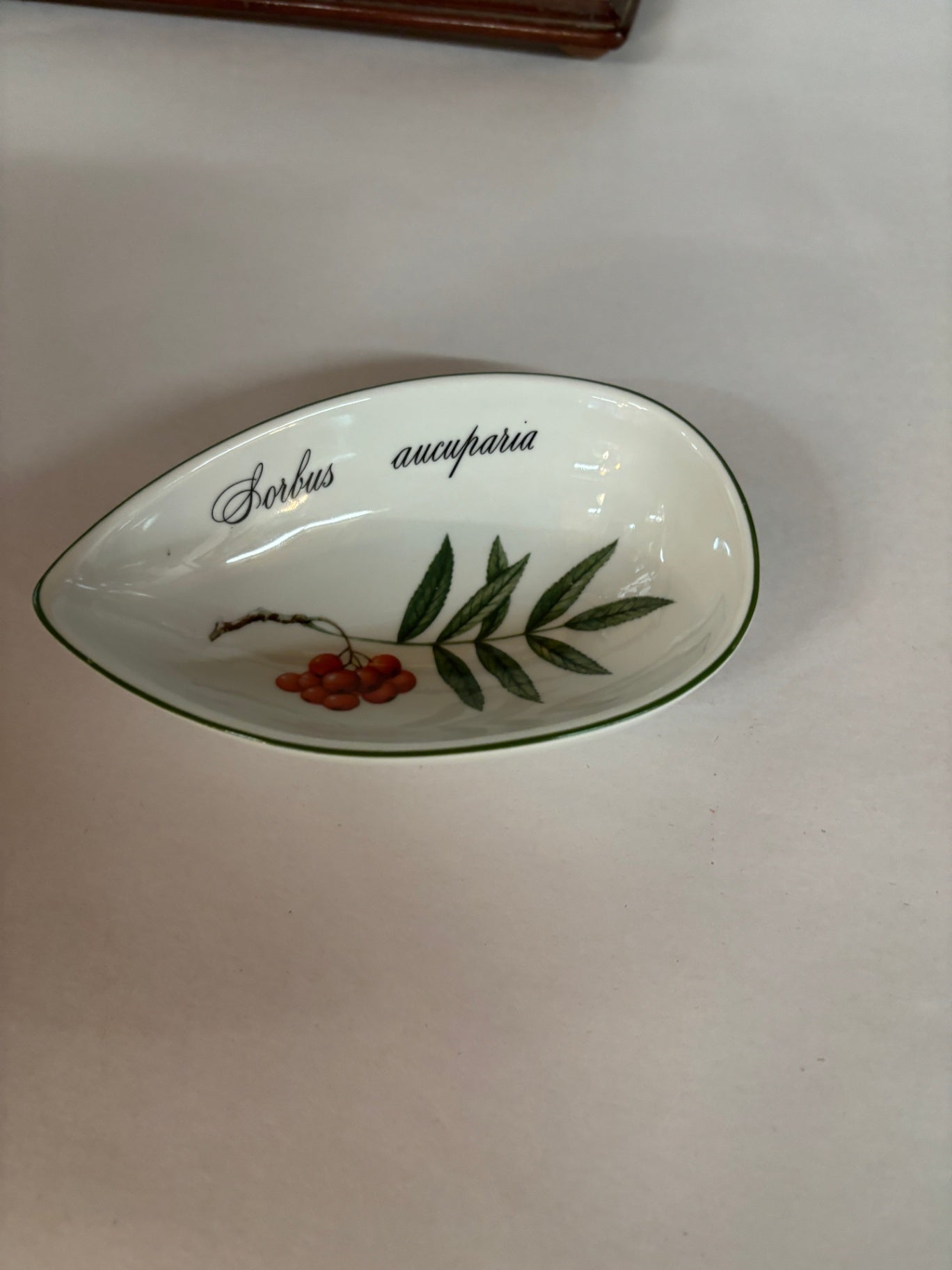  Porcelain Dish is From the Apilco Elysian Garden Collection,