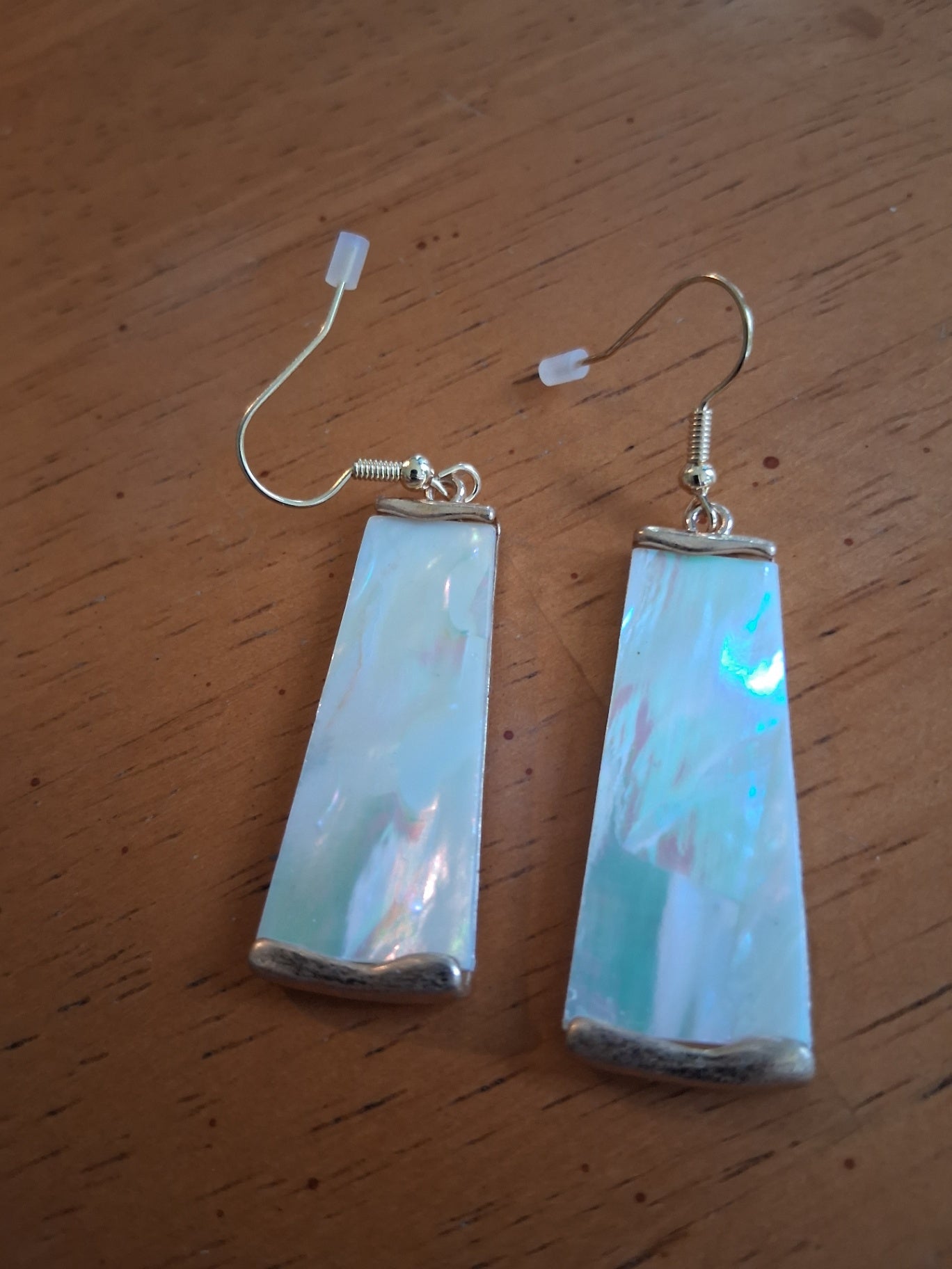 Earrings seashell dsc
