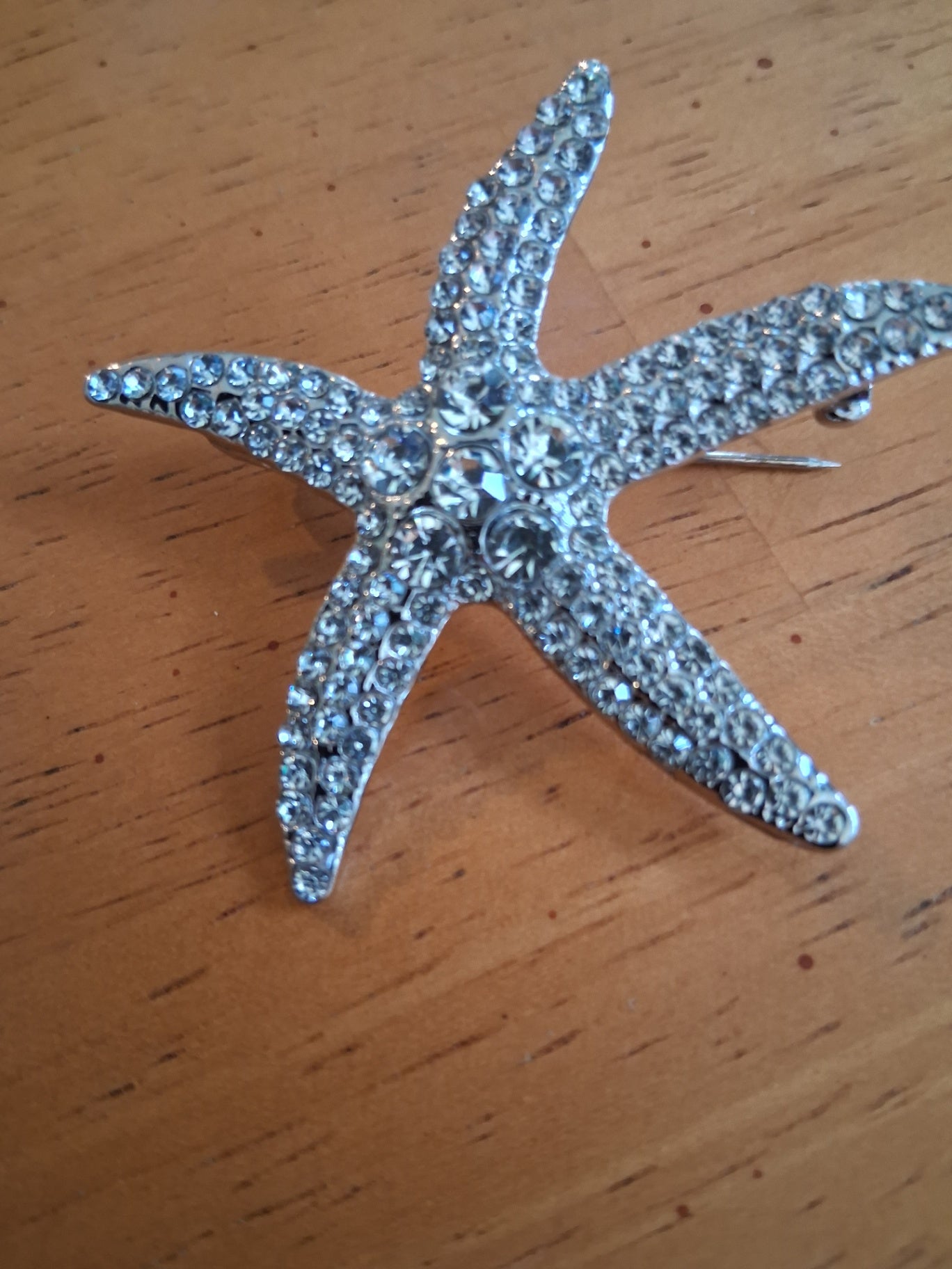 Pin starfish dsc