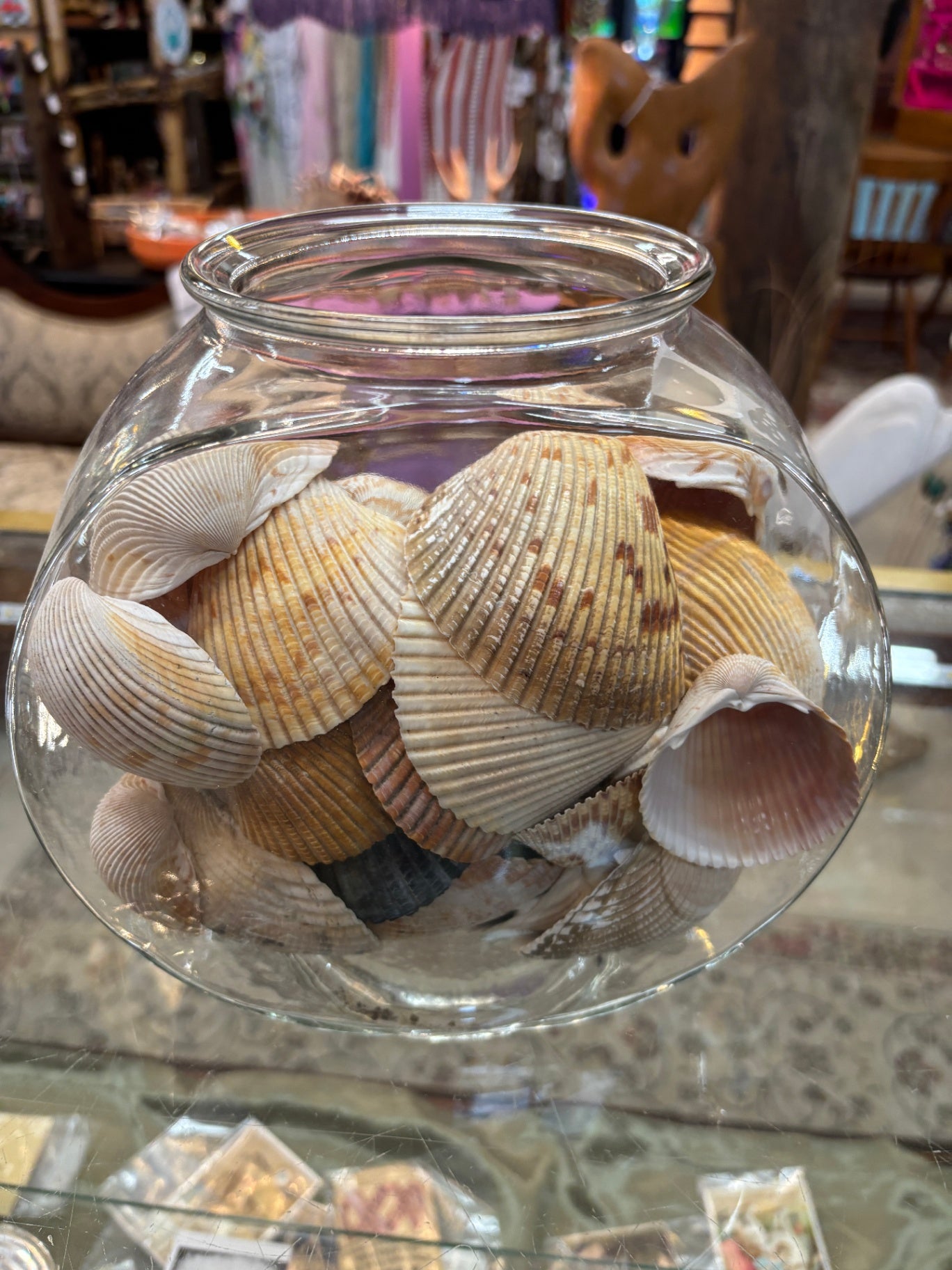 Jar of Shells